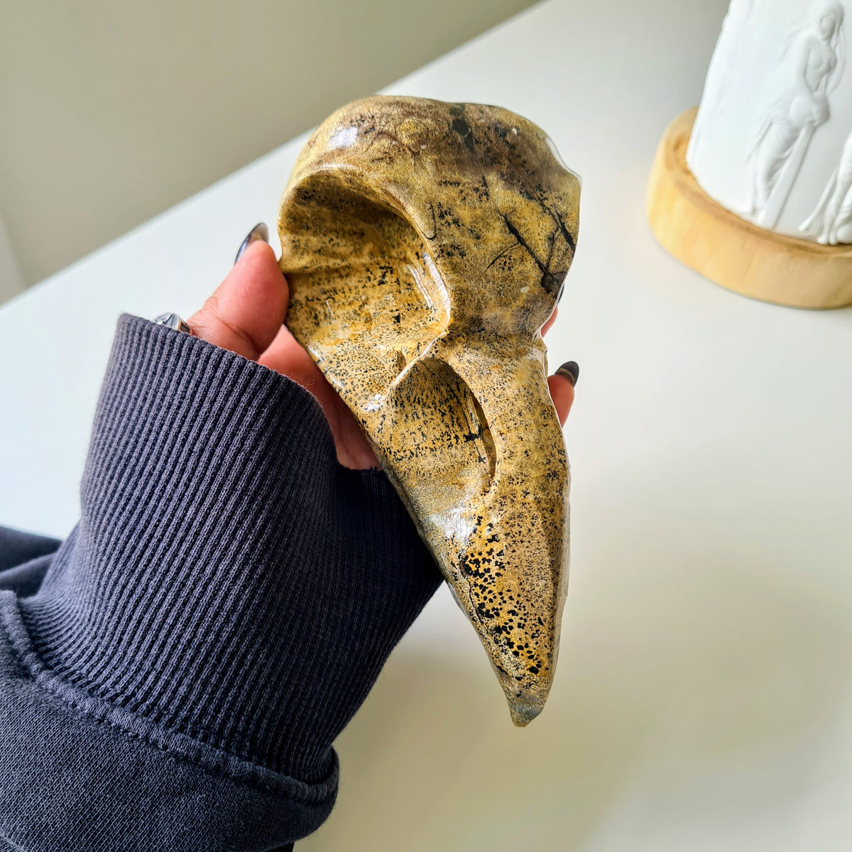 Picture Jasper Raven Skull | 14.5 cm