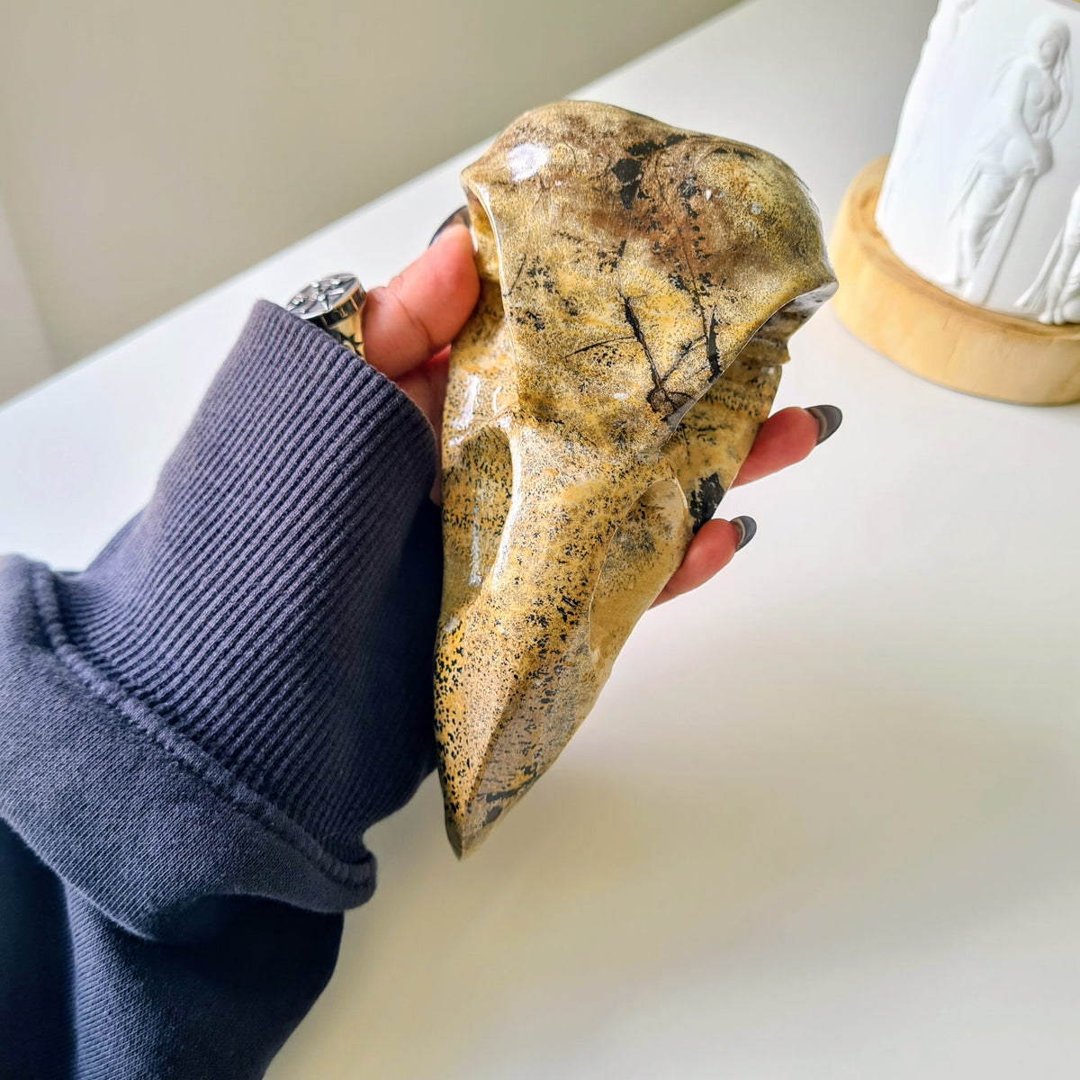 Picture Jasper Raven Skull | 14.5 cm