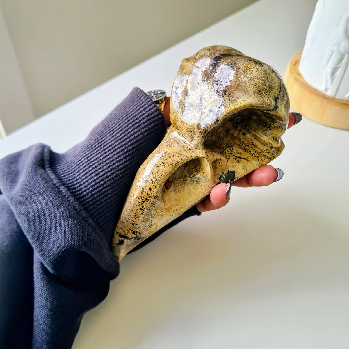 Picture Jasper Raven Skull | 14.5 cm
