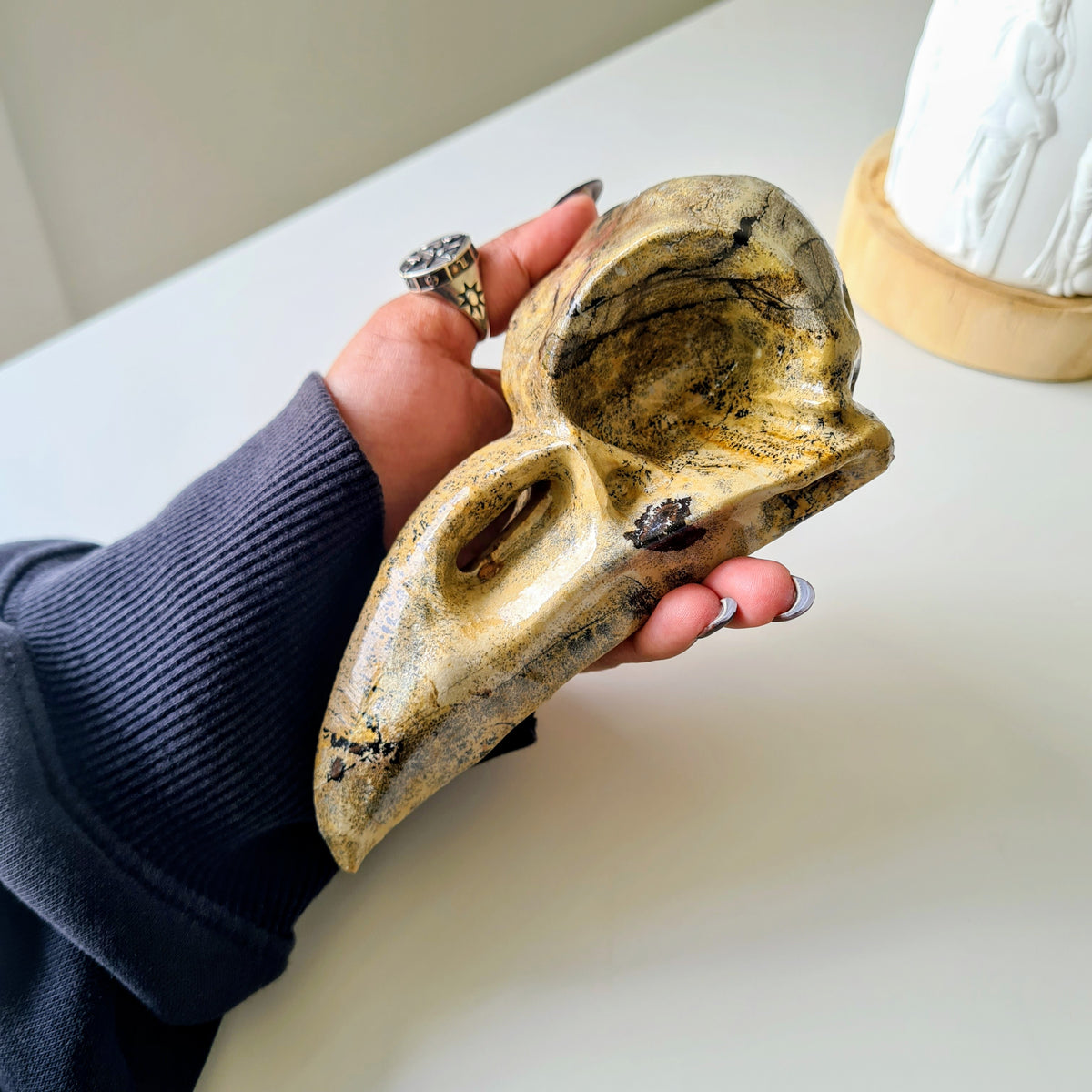 Picture Jasper Raven Skull | 14.5 cm