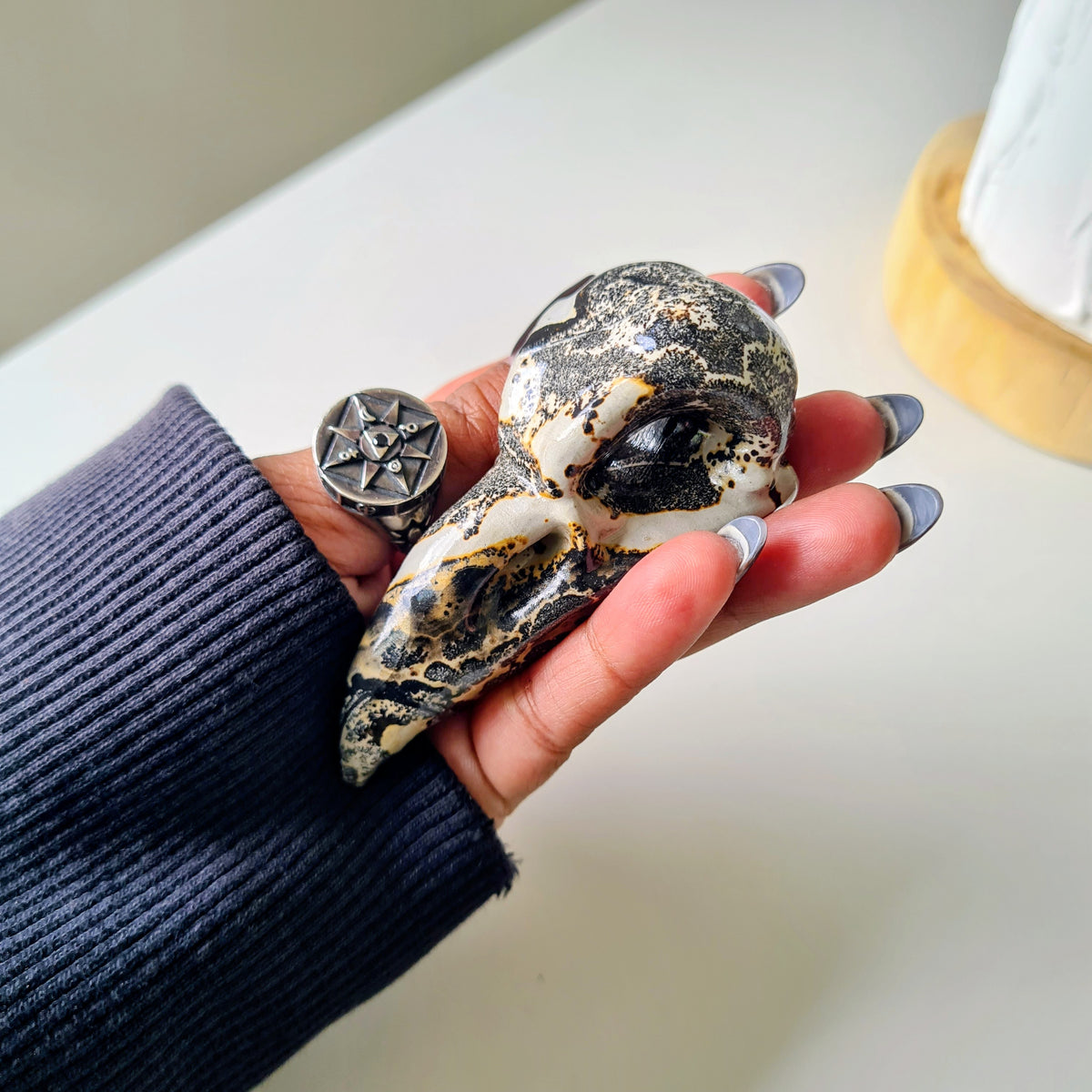 Picture Jasper Raven Skull | Appx 7 cm | Mini