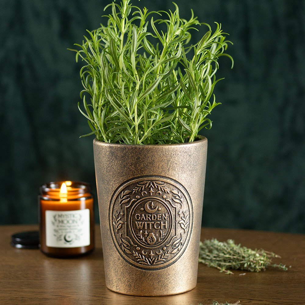 Hearth of the Wild Planter | Terracotta