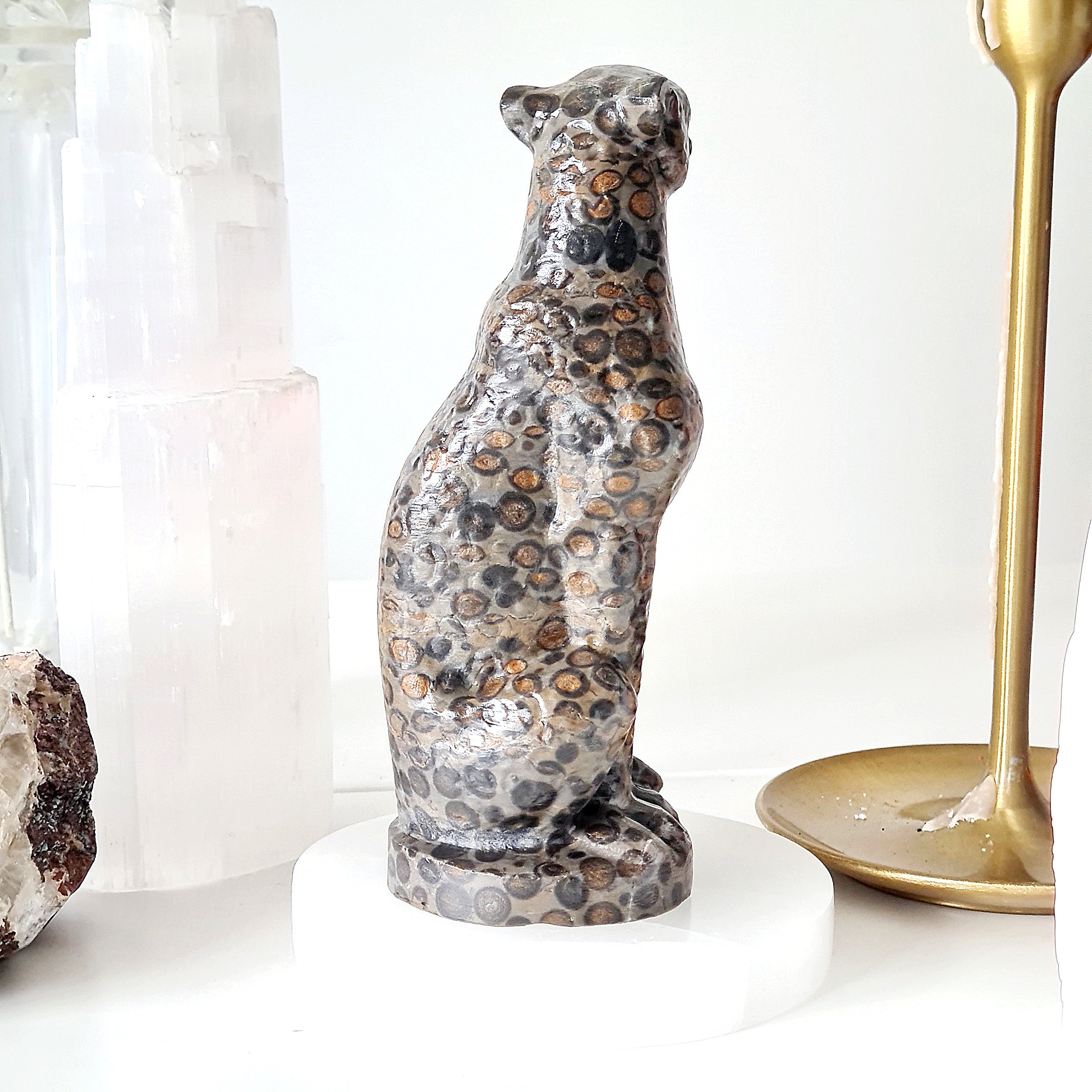 Jasper Leopard π | Earth Energy | 517 g