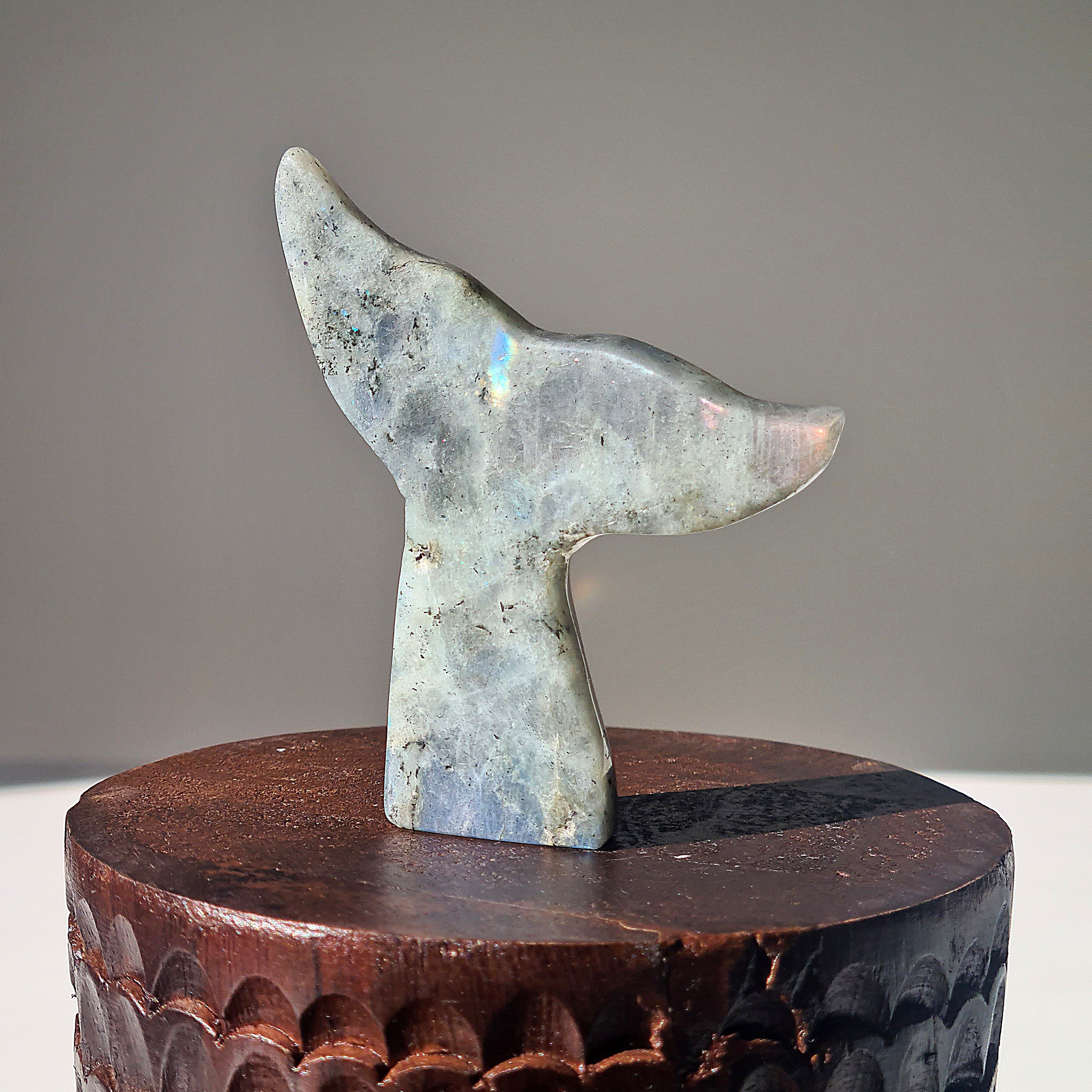 Labradorite Siren Tail | A | Small