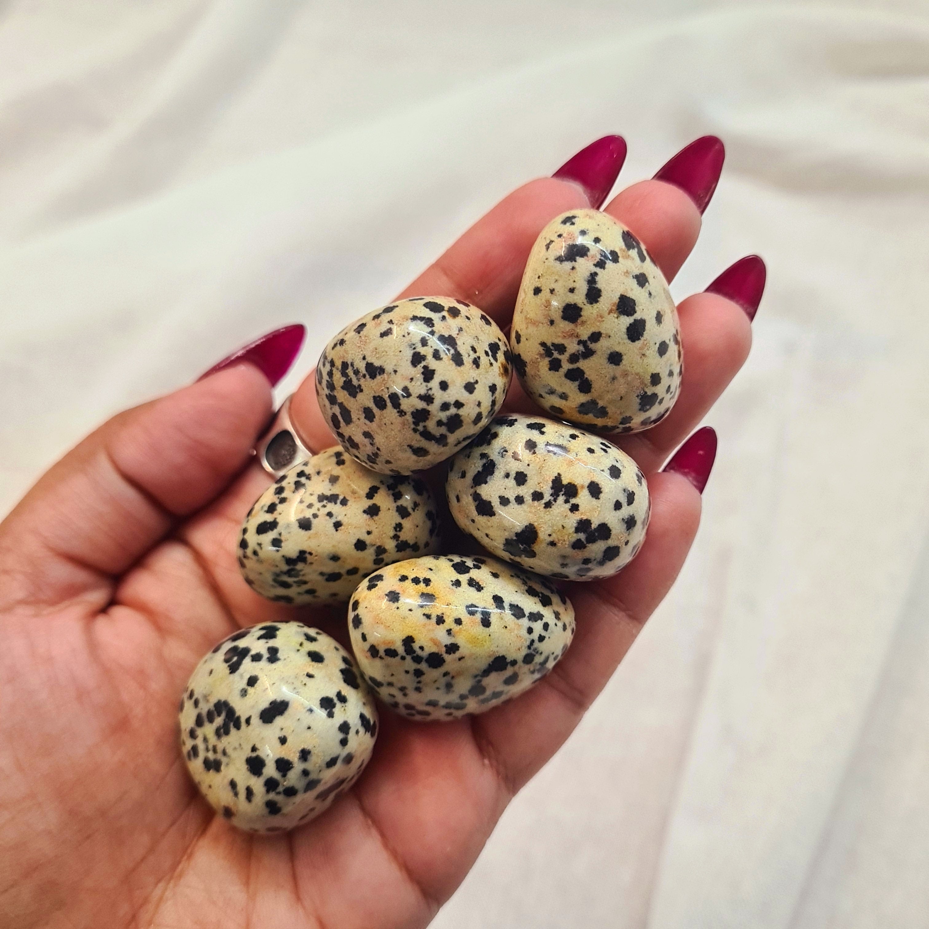 Dalmatian Jasper Tumble | 1 Piece | 2 cm