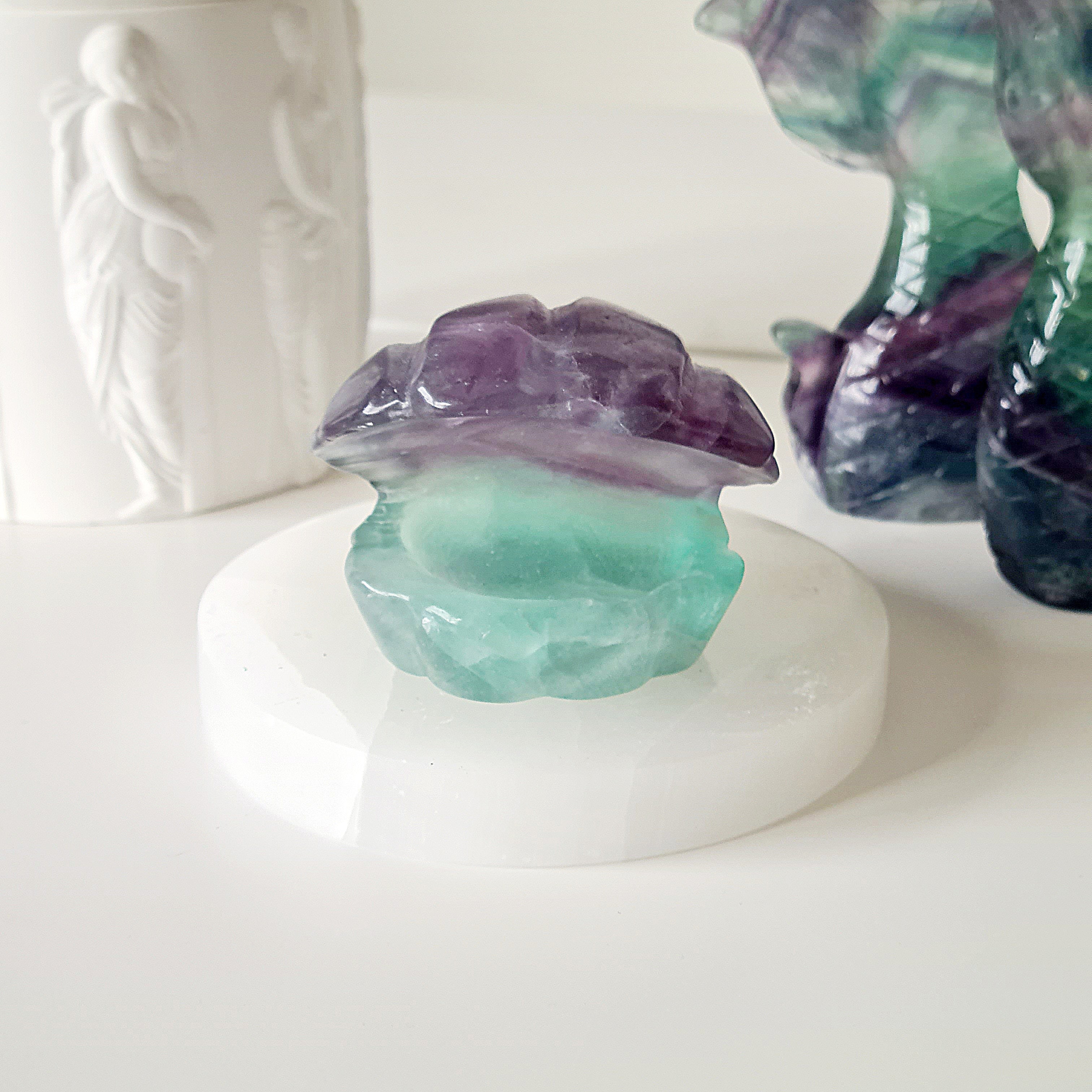Mermaids Treasure Shell π | 5 | 6.5 cm