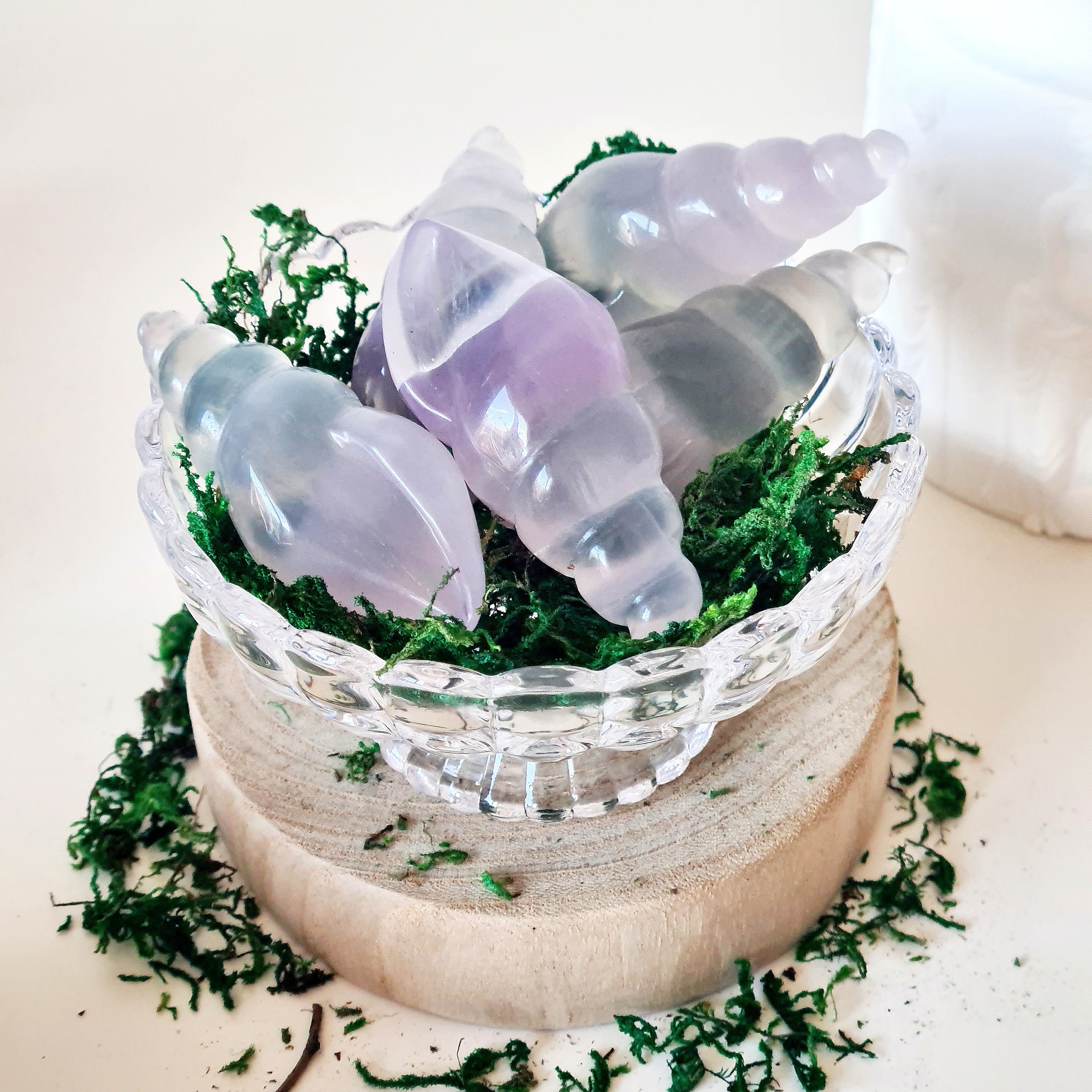 Lilac Fluorite Siren Shell | 1 Piece | Intutively Picked | Appx 7.2 cm