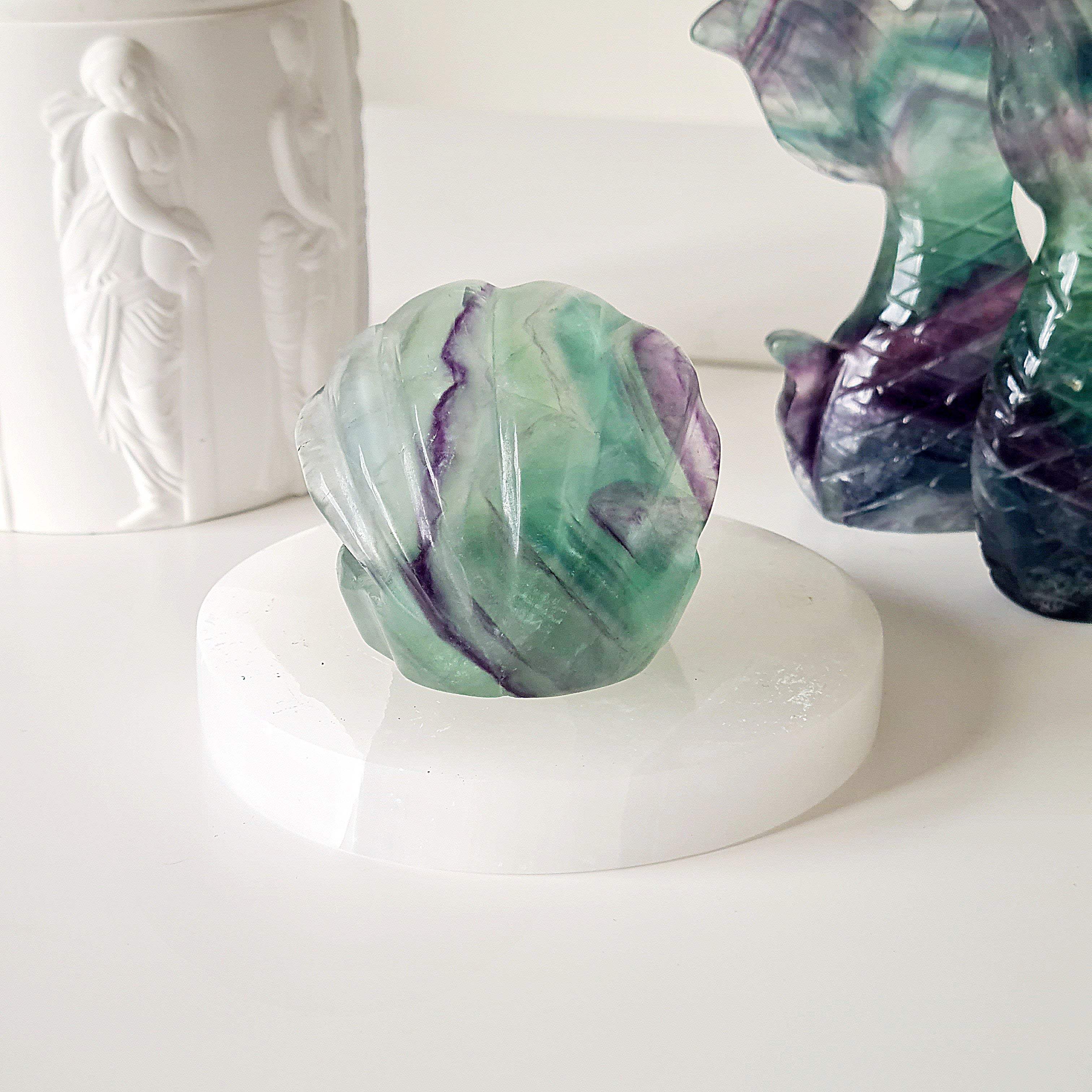 Mermaids Treasure Shell π | 6 | 6 cm