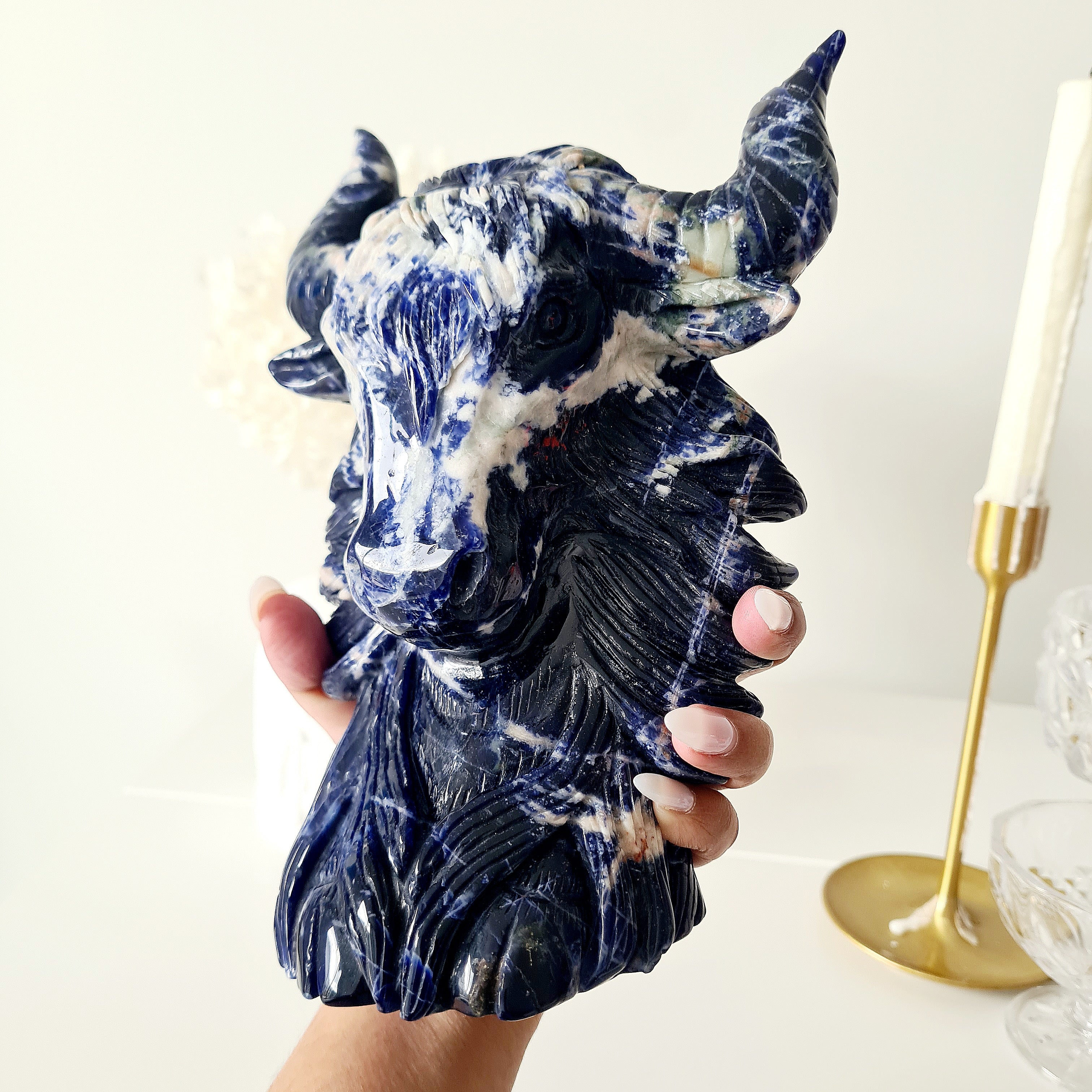 𦬠Sodalite Bison | Strength & Power | 1.6 kg
