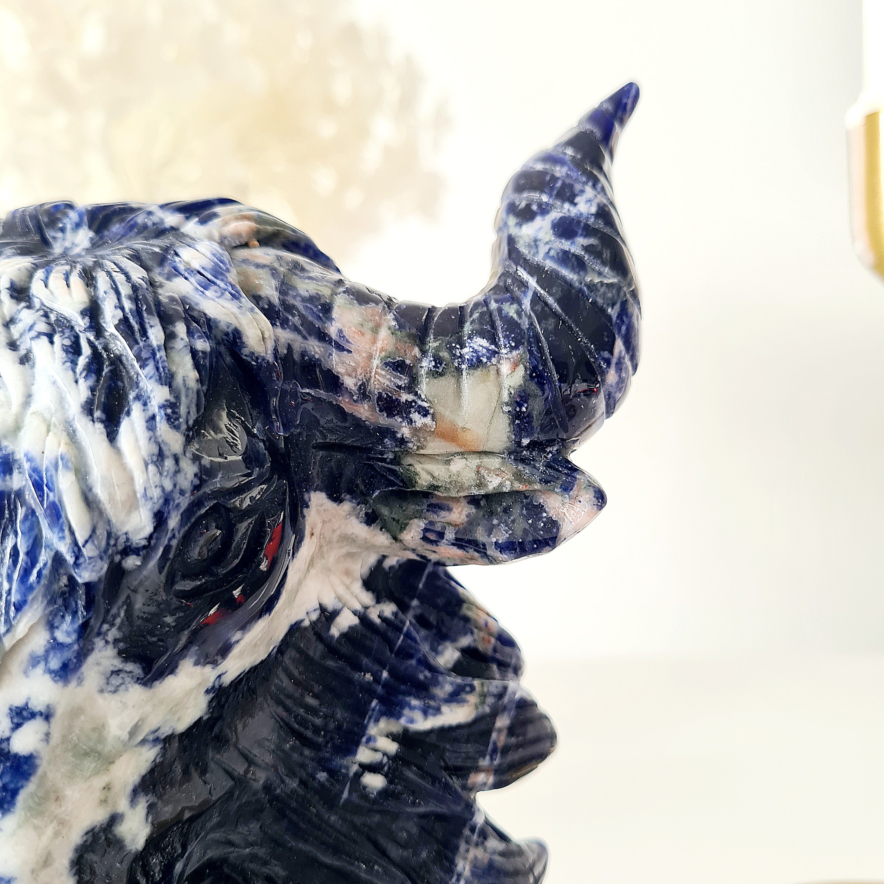 𦬠Sodalite Bison | Strength & Power | 1.6 kg