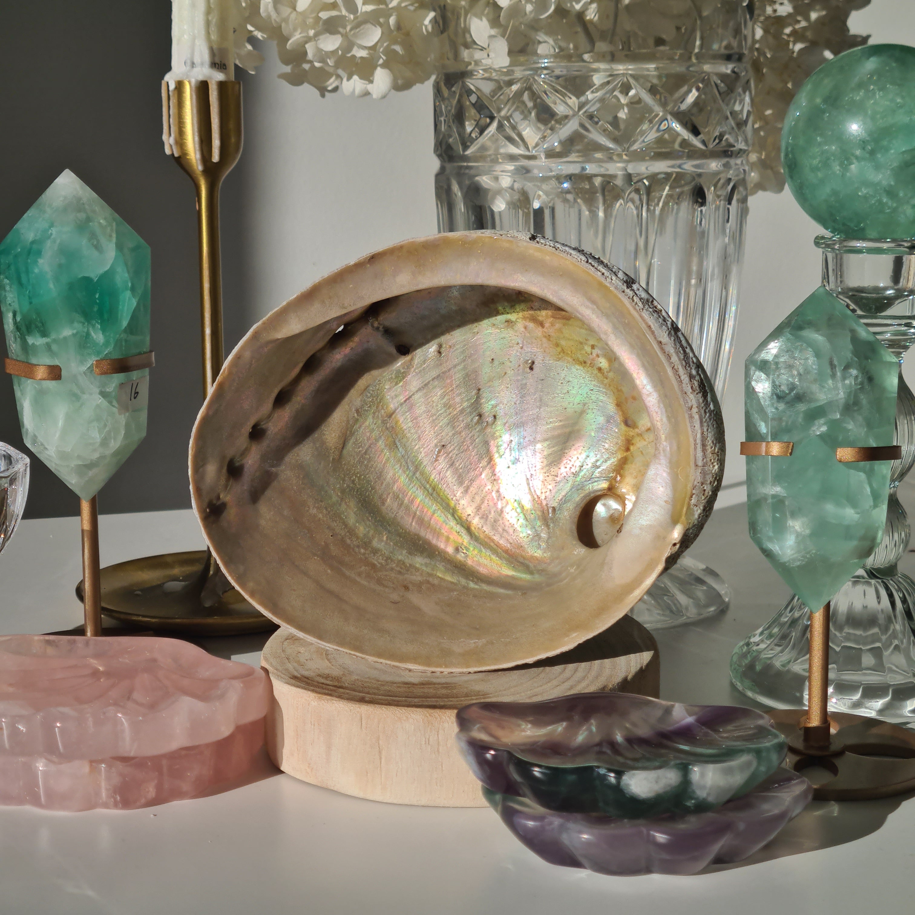 Abalone Shell π | D | Large
