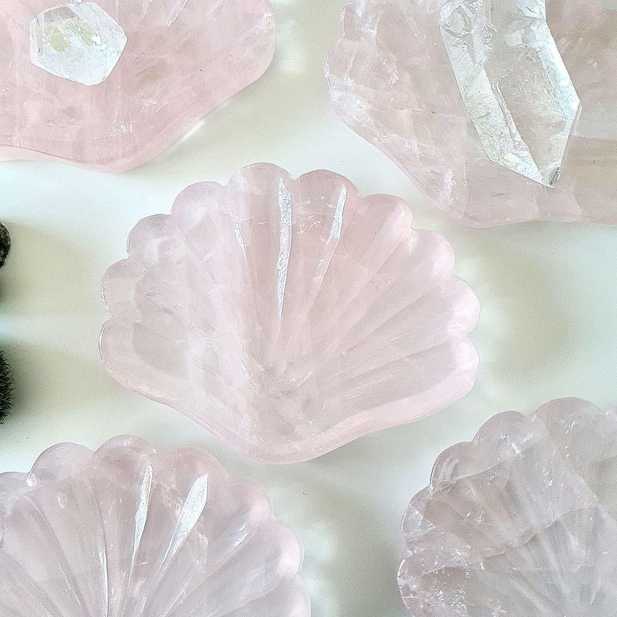 Pale pink rose quartz shell-shaped bowls with fluted edges and radiating carved grooves.