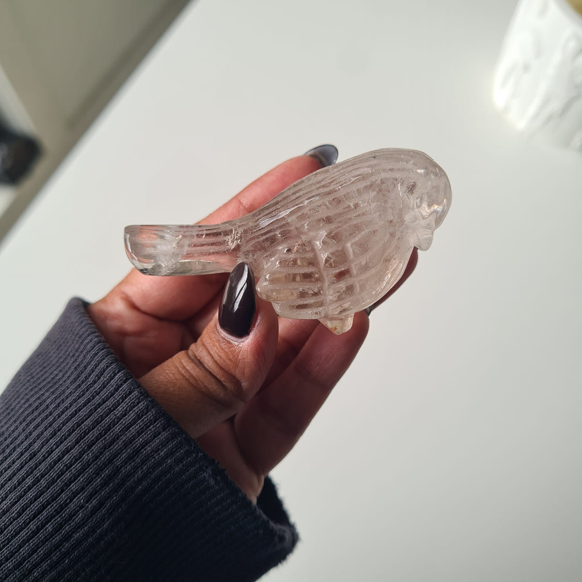 Clear quartz Crystal Bird
