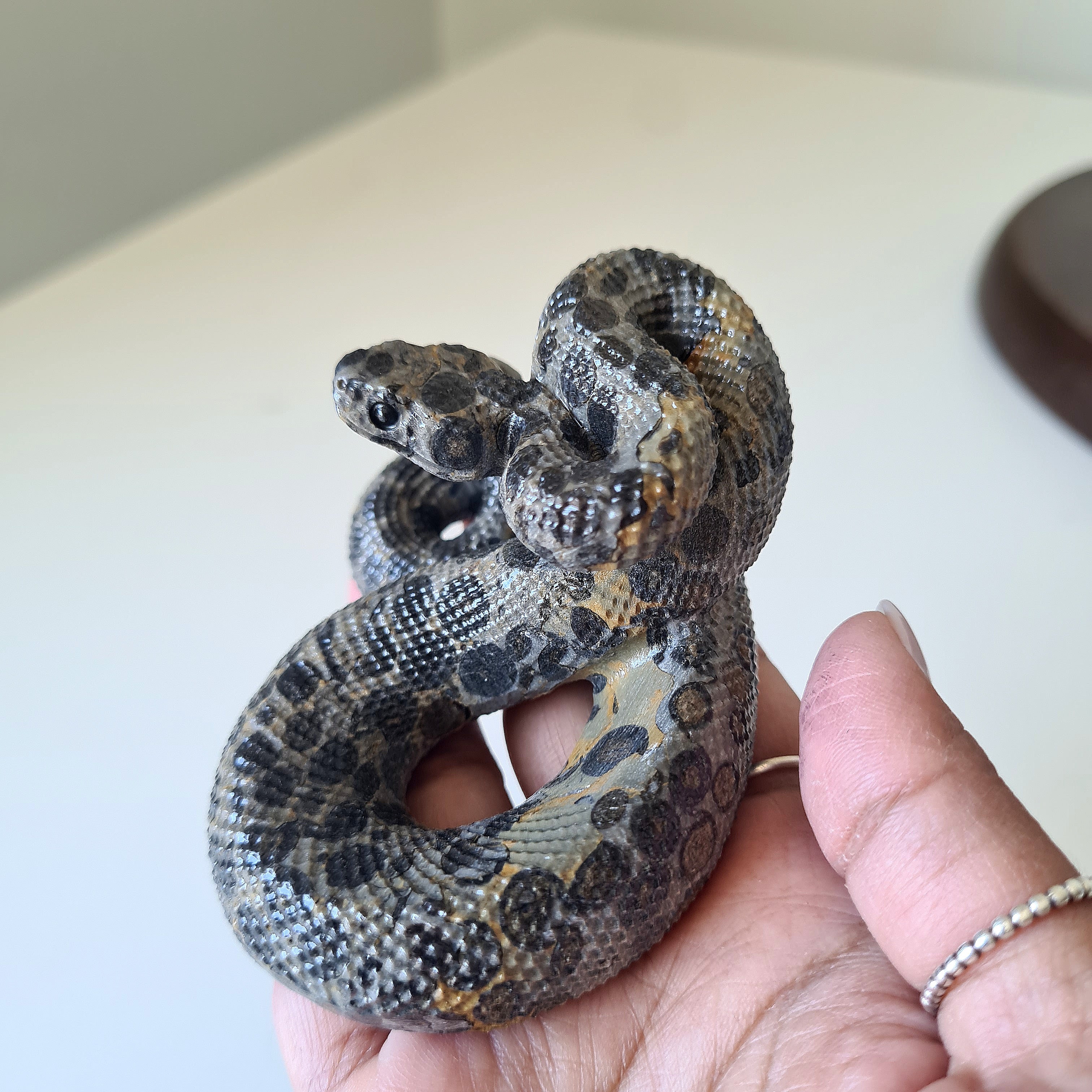 Viper Carving | B