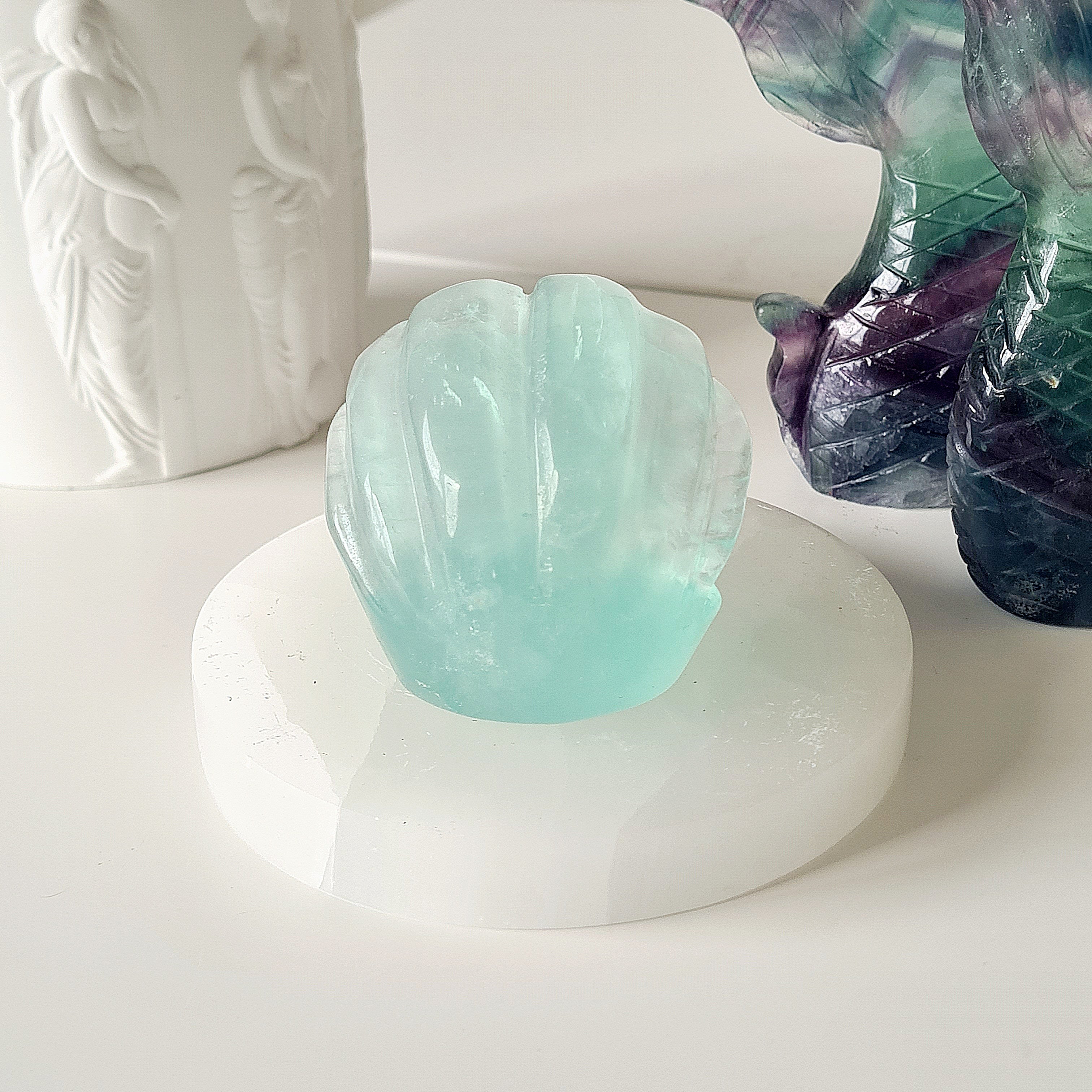 Mermaids Treasure Shell π | 1 | 6 cm |