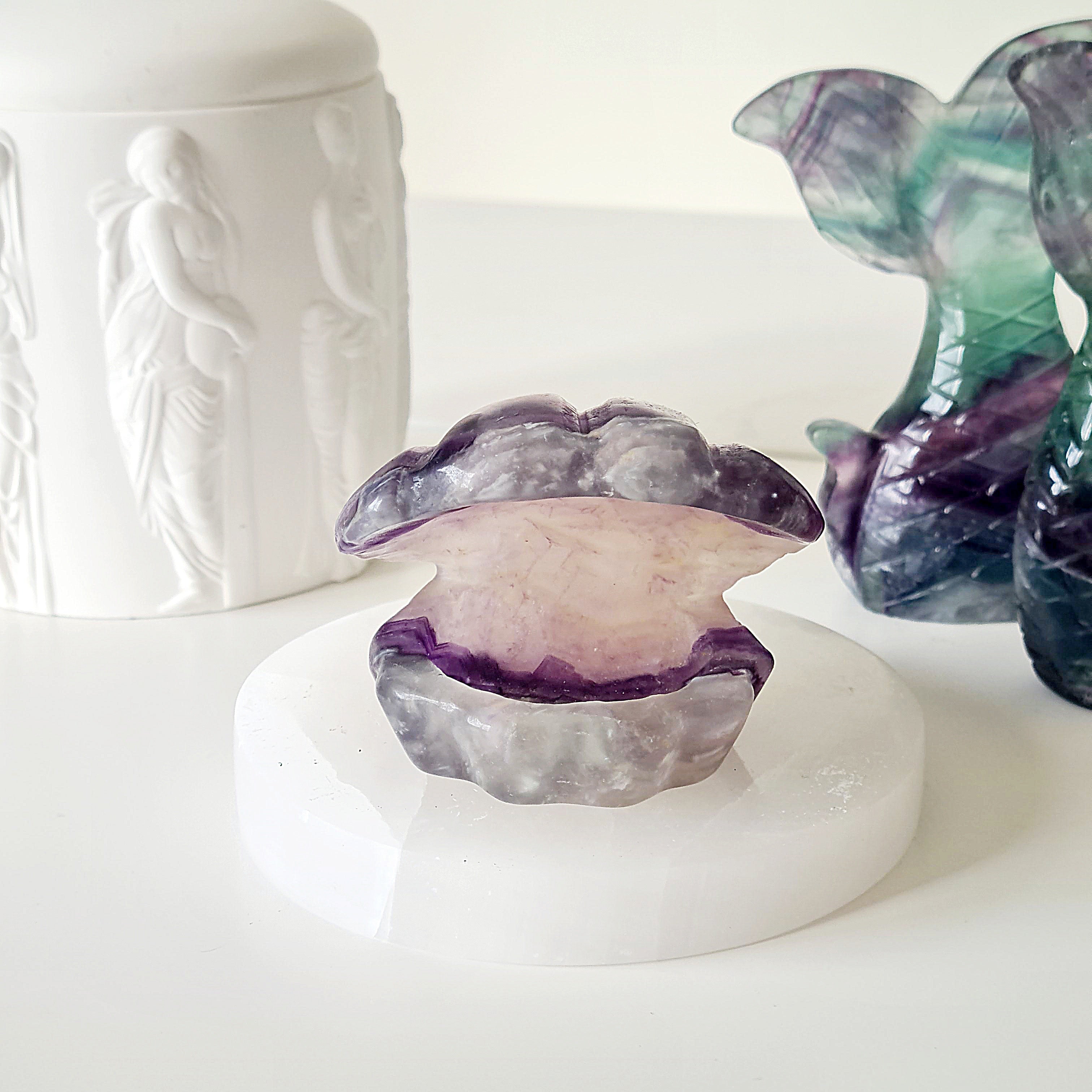 Mermaids Treasure Shell π | 7 | 6.5 cm