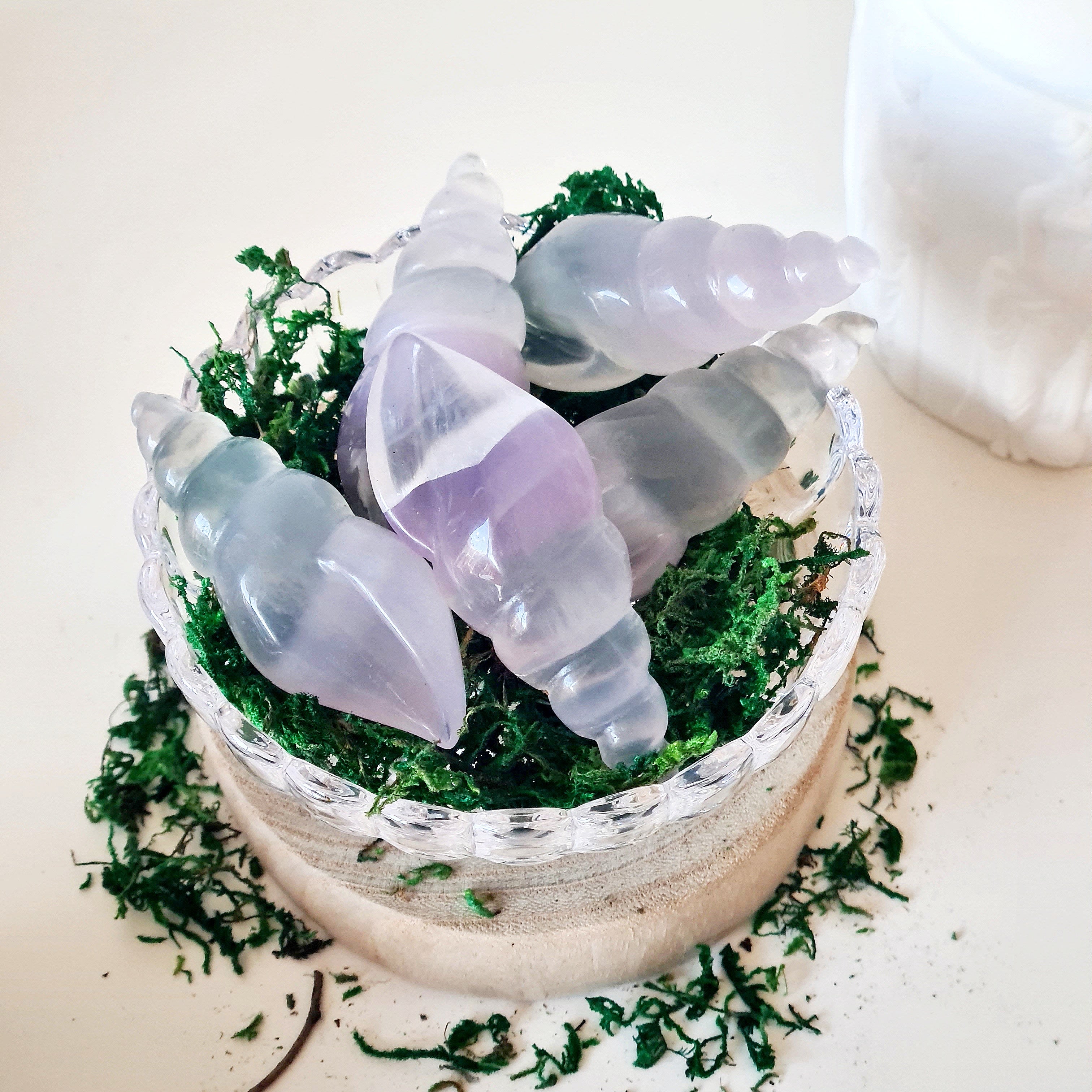 Lilac Fluorite Siren Shell | 1 Piece | Intutively Picked | Appx 7.2 cm