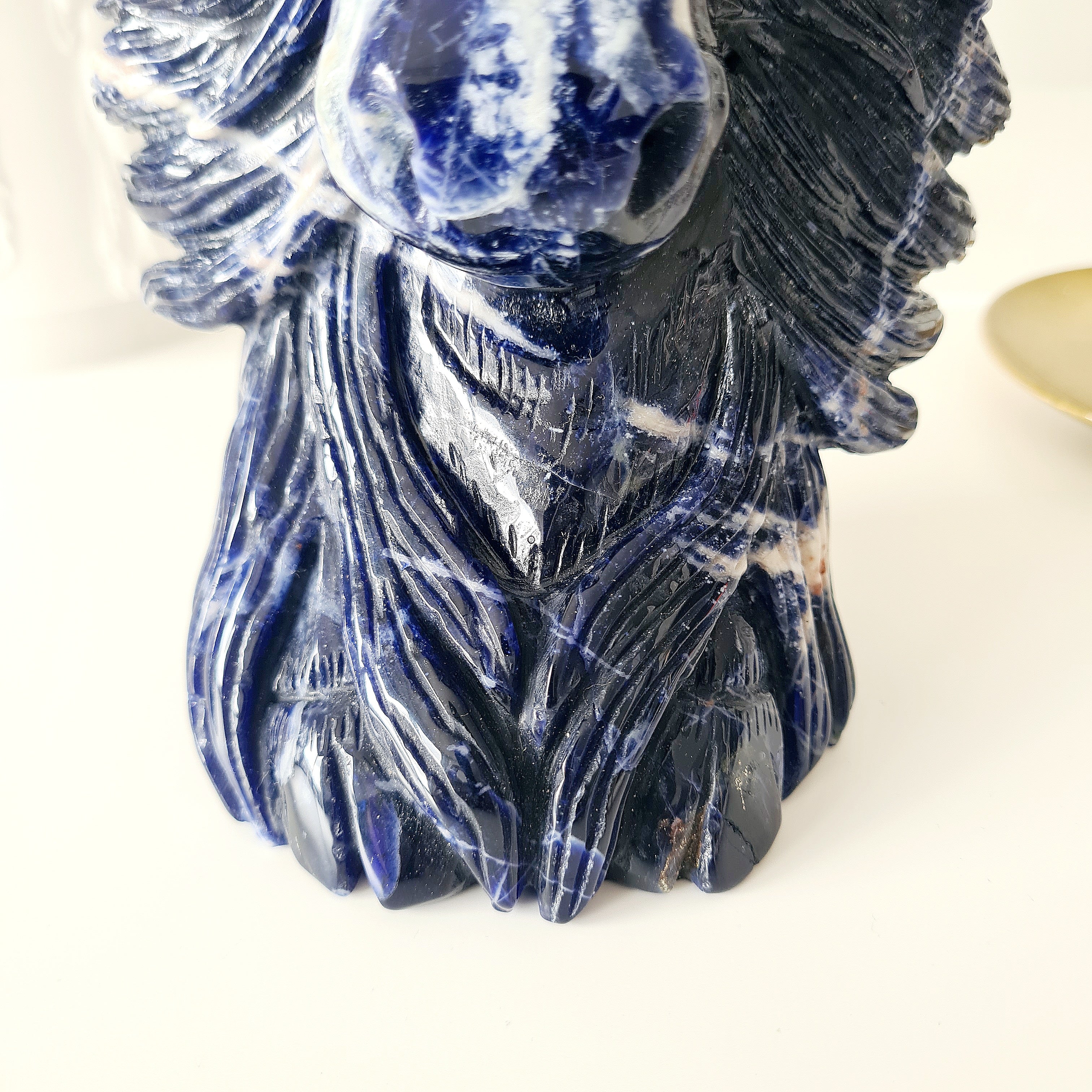 𦬠Sodalite Bison | Strength & Power | 1.6 kg