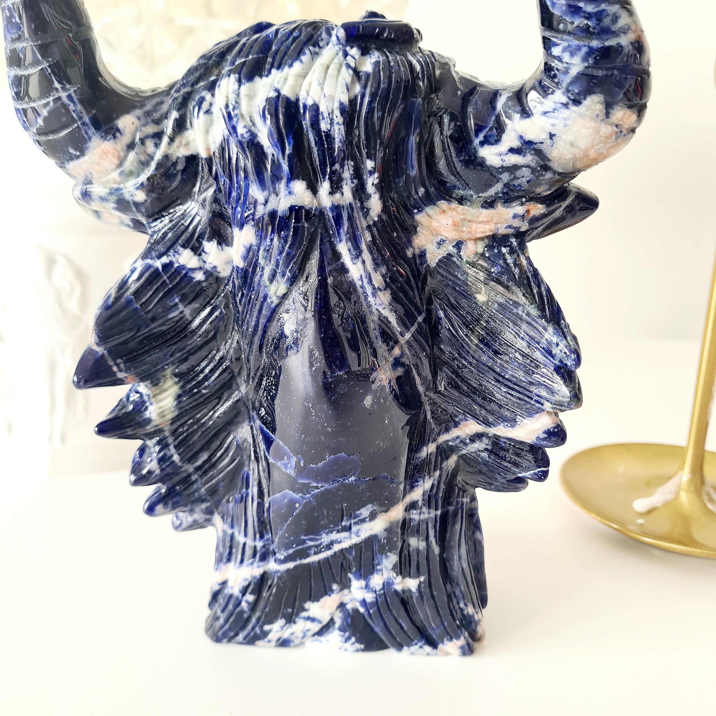𦬠Sodalite Bison | Strength & Power | 1.6 kg