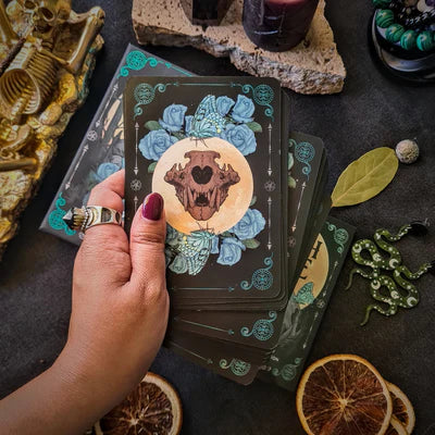 Earth and Bone | Oracle