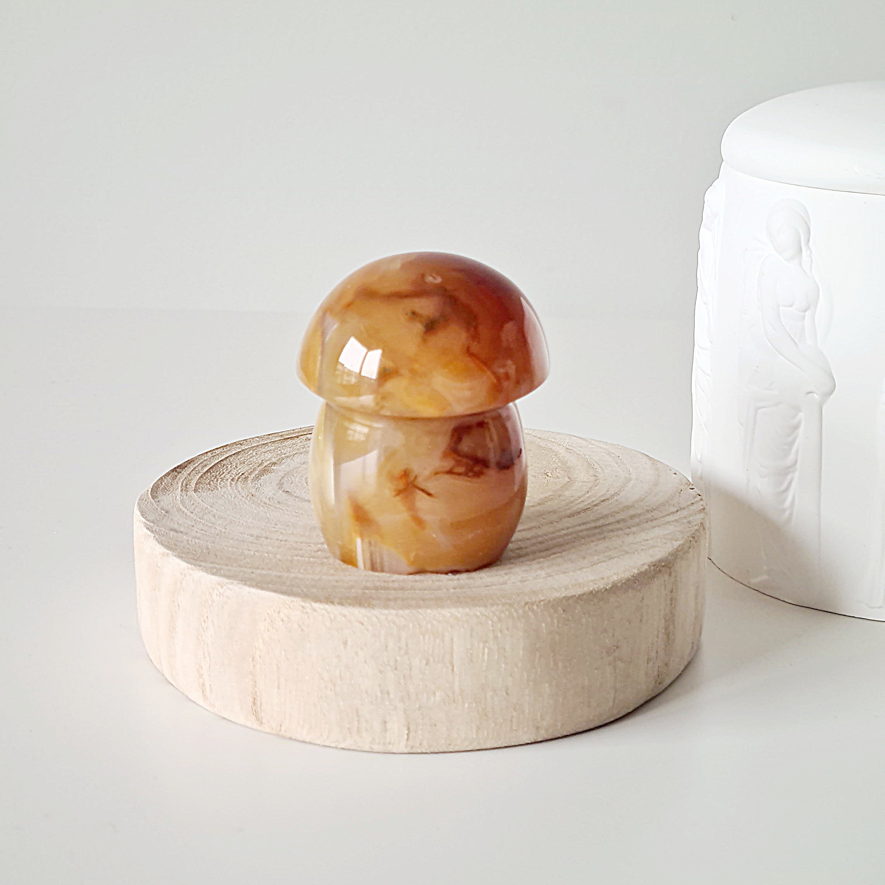 Carnelian Mushroom π | Forest Fae Collection | 164 g
