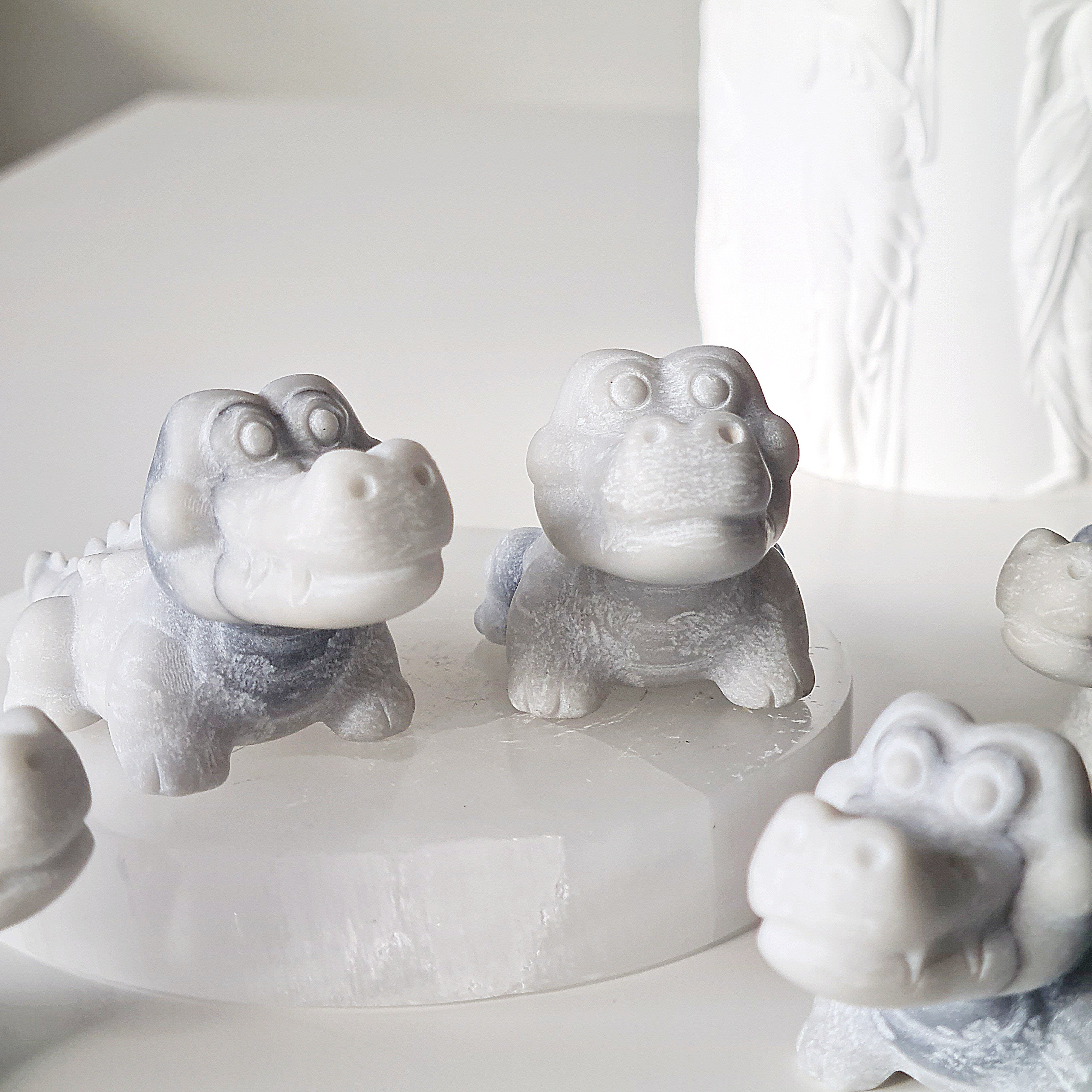 Tai Chi Croc | 1 Piece