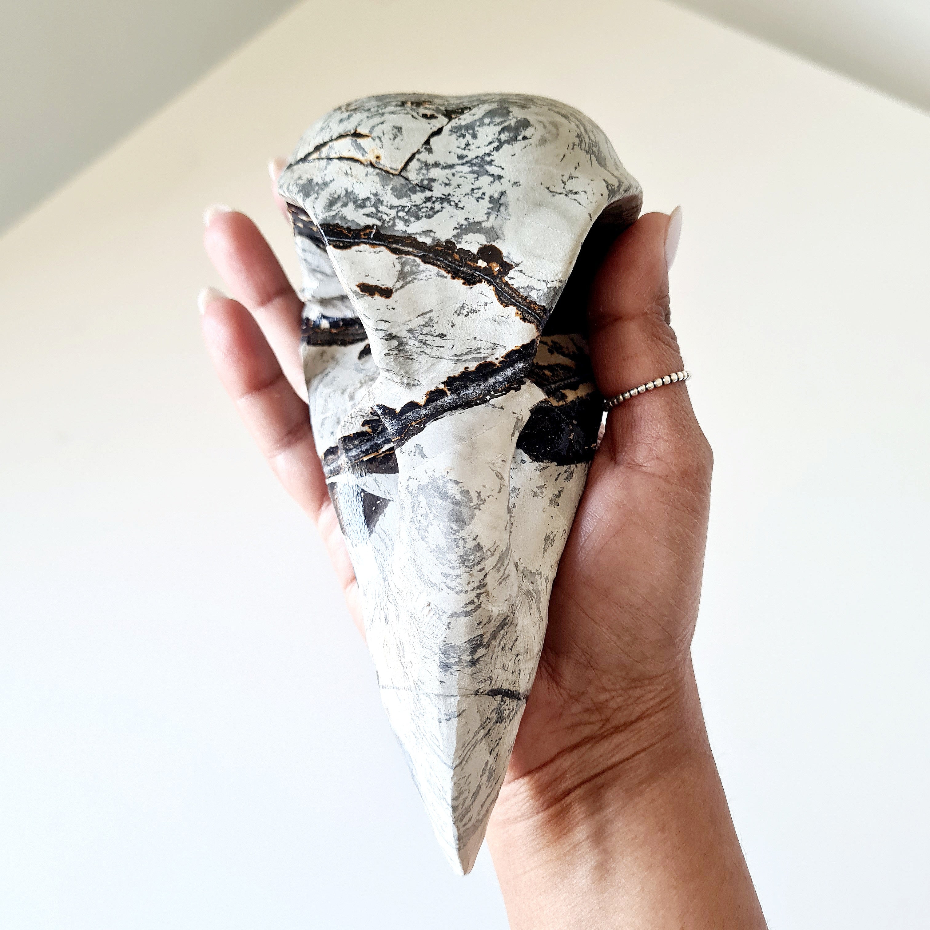 Mystic Picture Jasper Raven Skull | 14 cm | 400 g