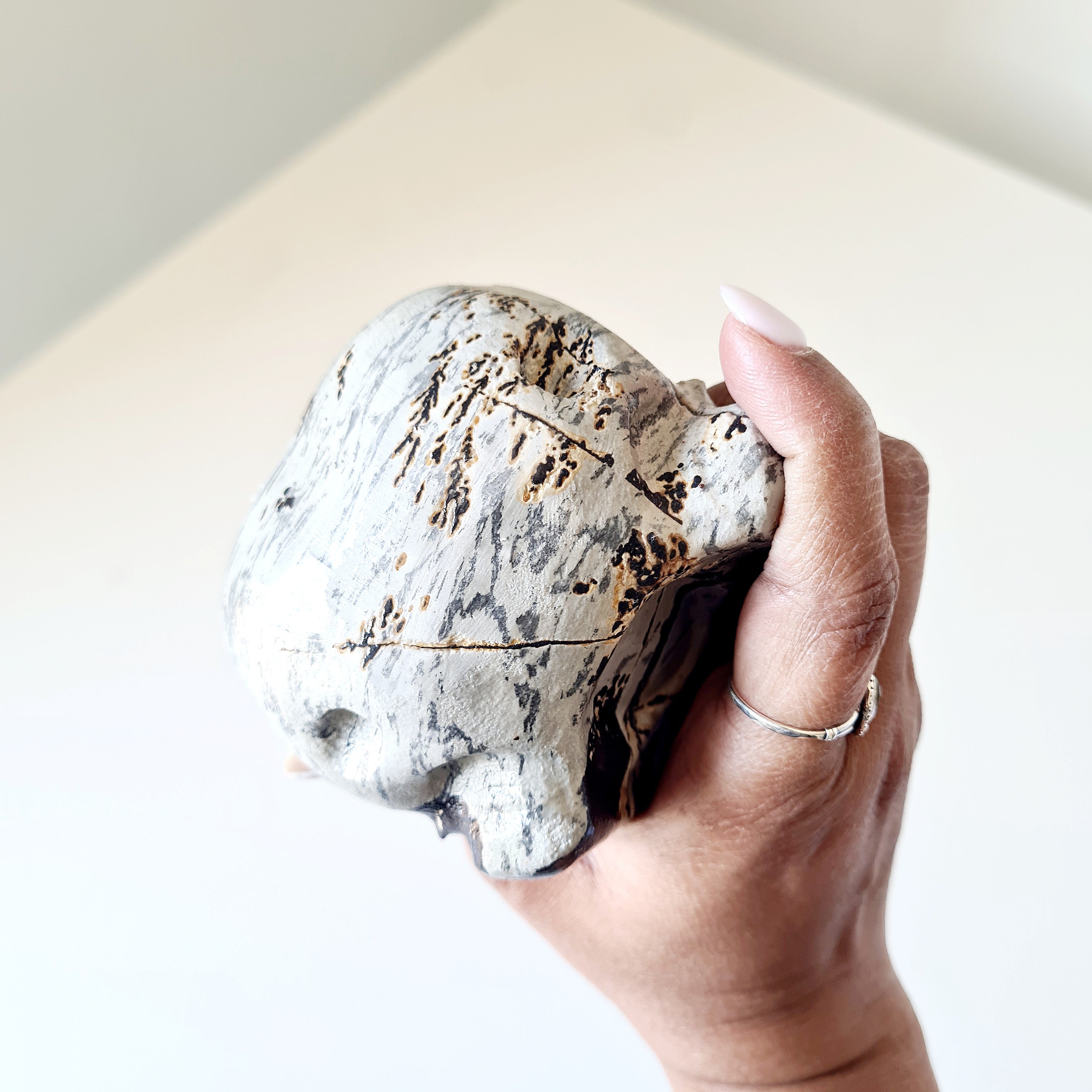 Mystic Picture Jasper Raven Skull | 14 cm | 400 g
