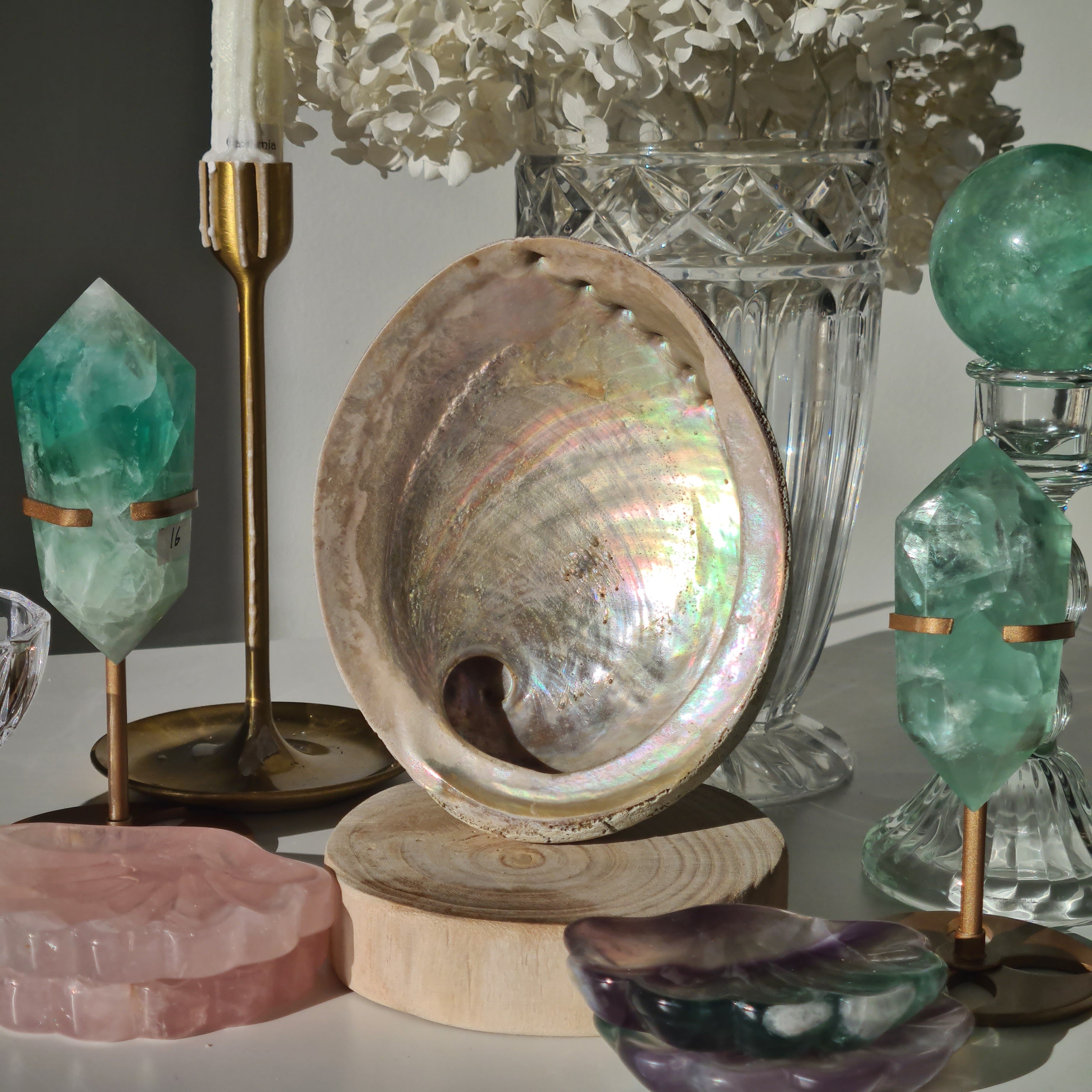 Abalone Shell π | E | Large