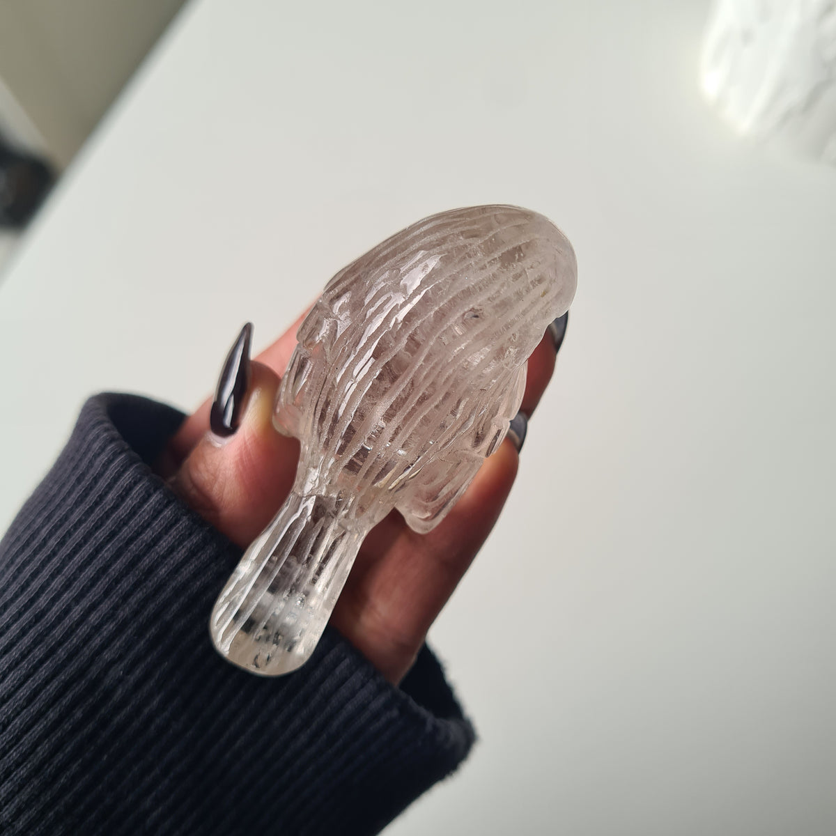 Clear quartz Crystal Bird