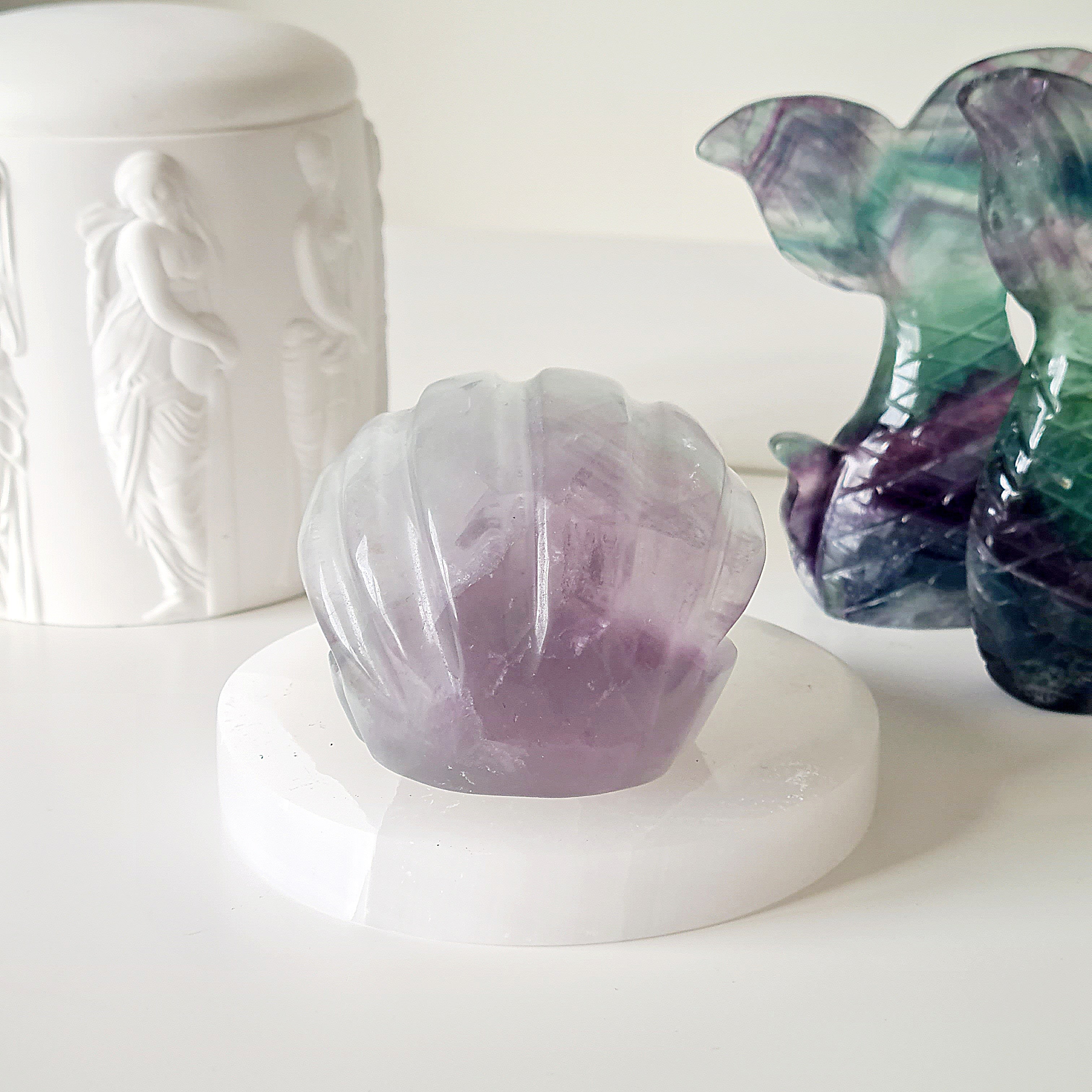 Mermaids Treasure Shell π | 8 | 7 cm