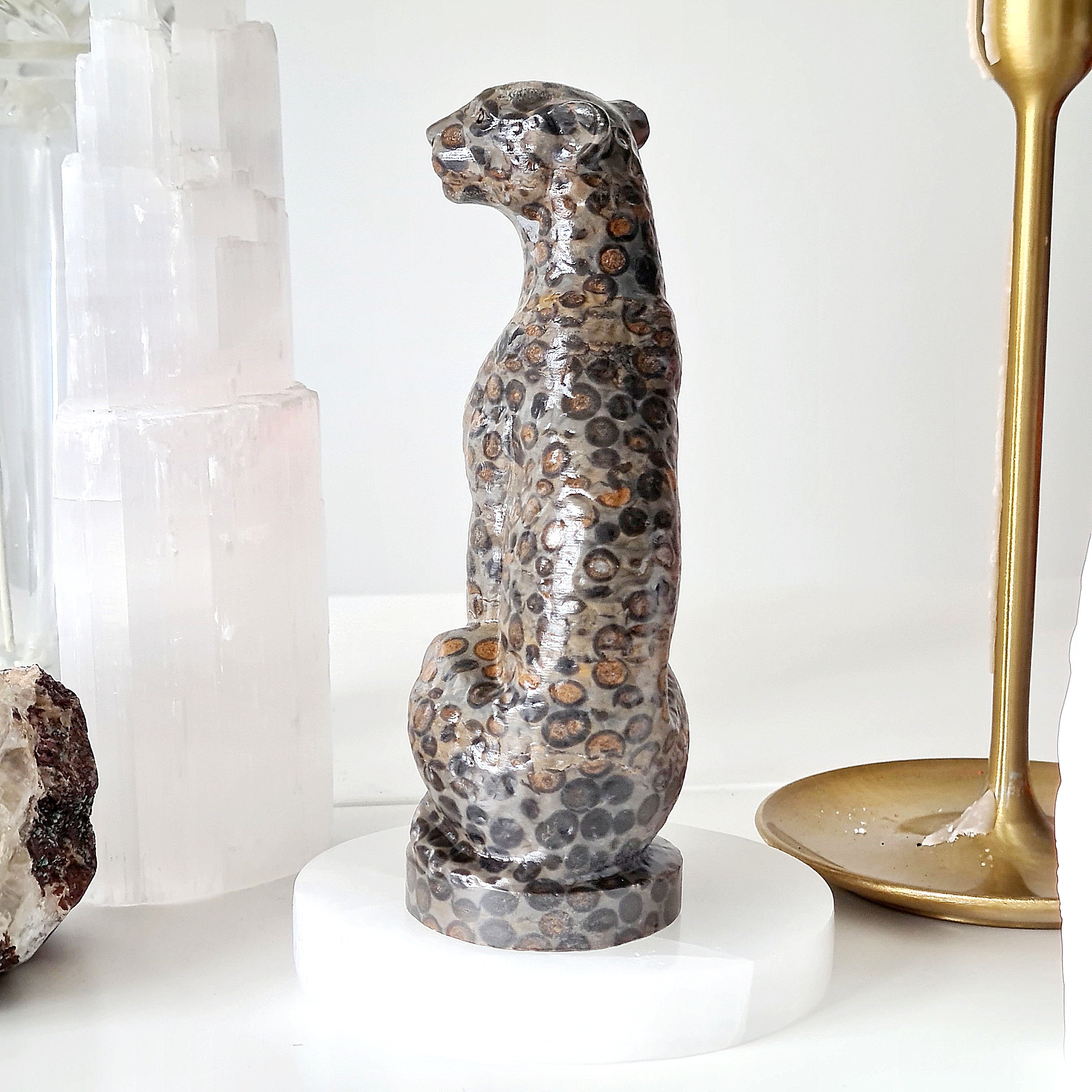 Jasper Leopard π | Earth Energy | 517 g
