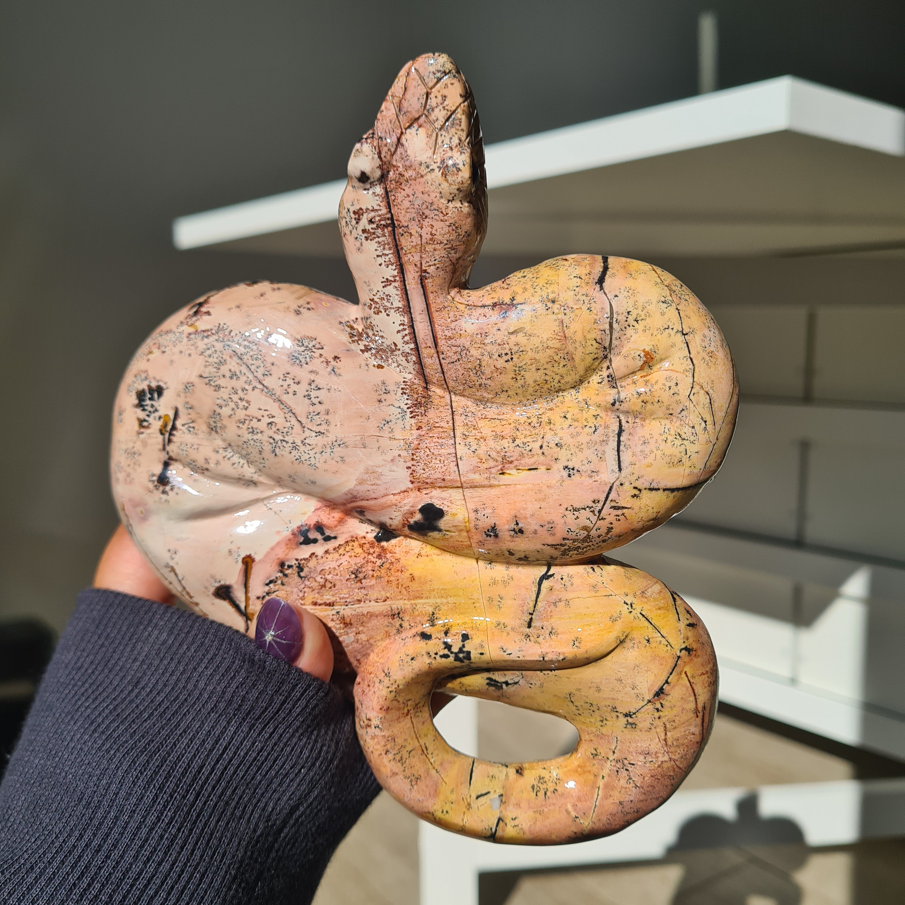 Picture Jasper Serpent | A | 538 g | 16 cm