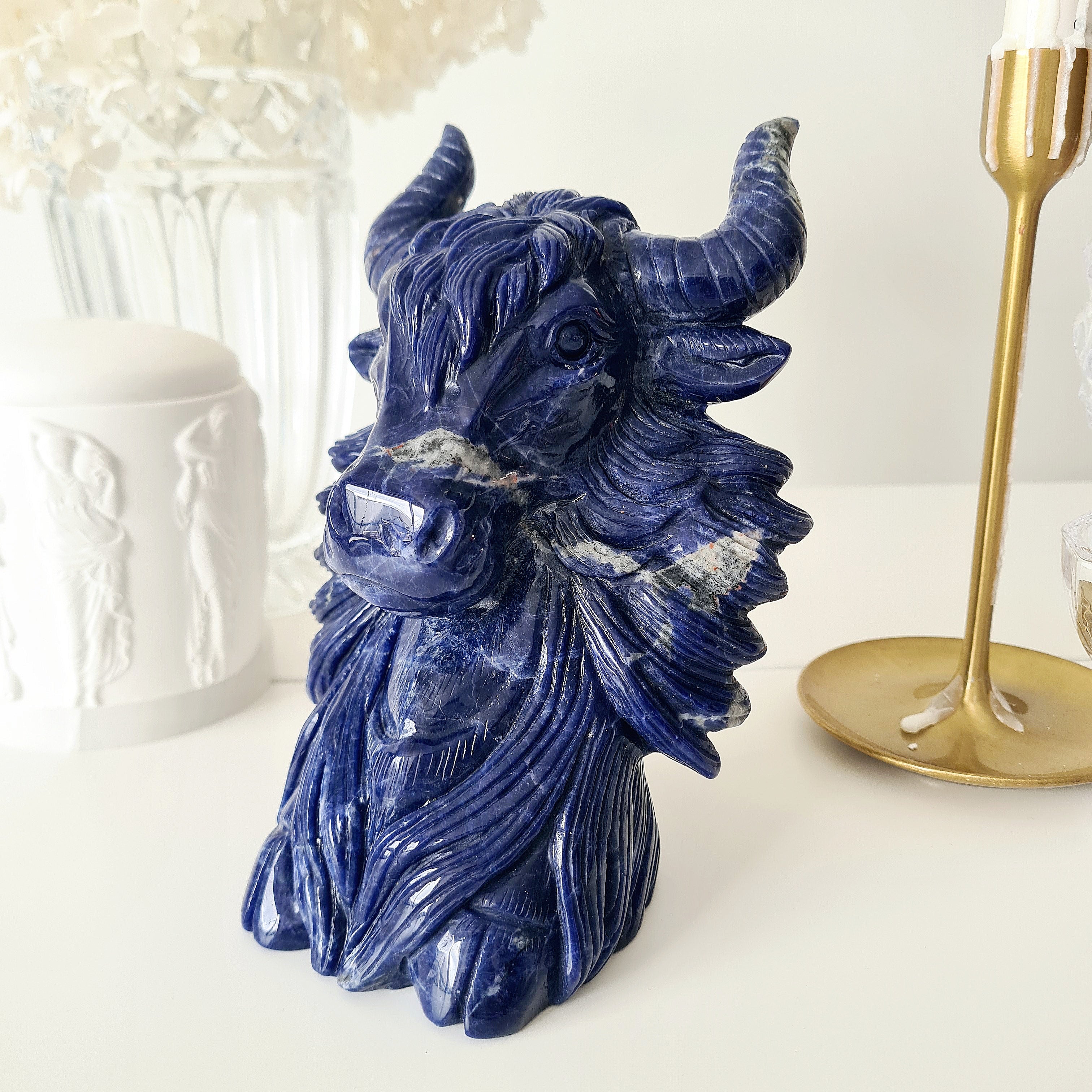 𦬠Sodalite Bison | Strength & Power | 1.9 kg