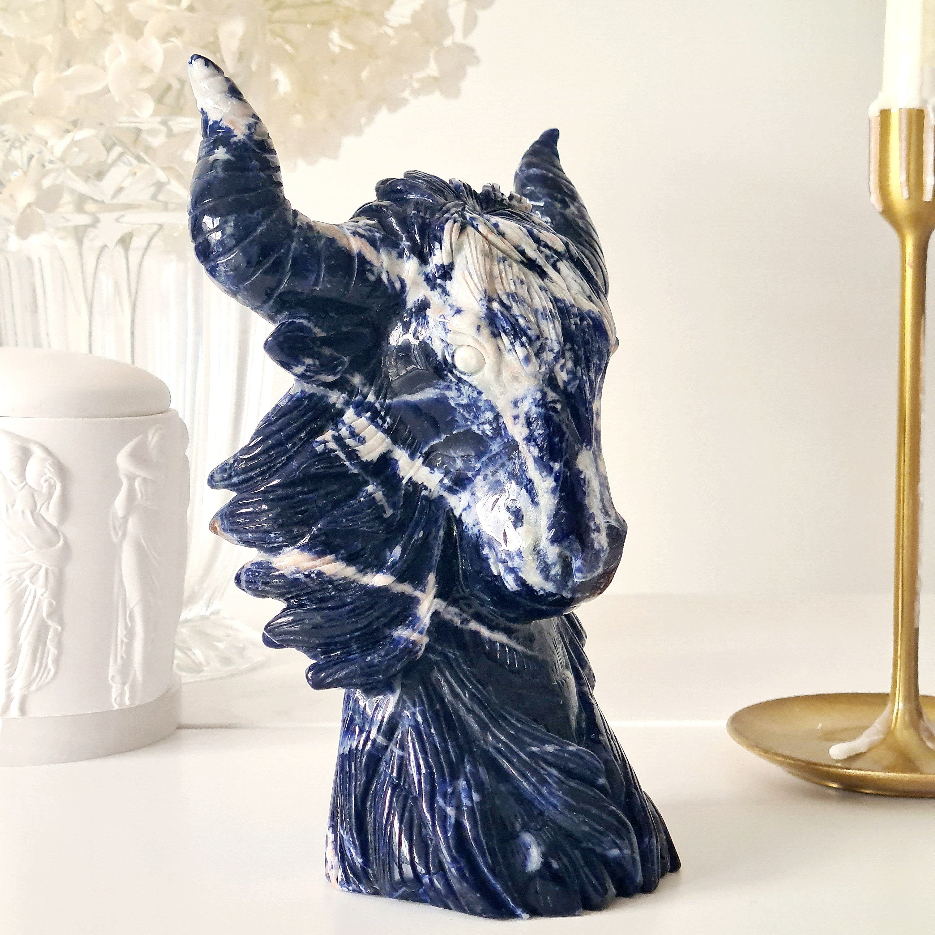 𦬠Sodalite Bison | Strength & Power | 1.6 kg