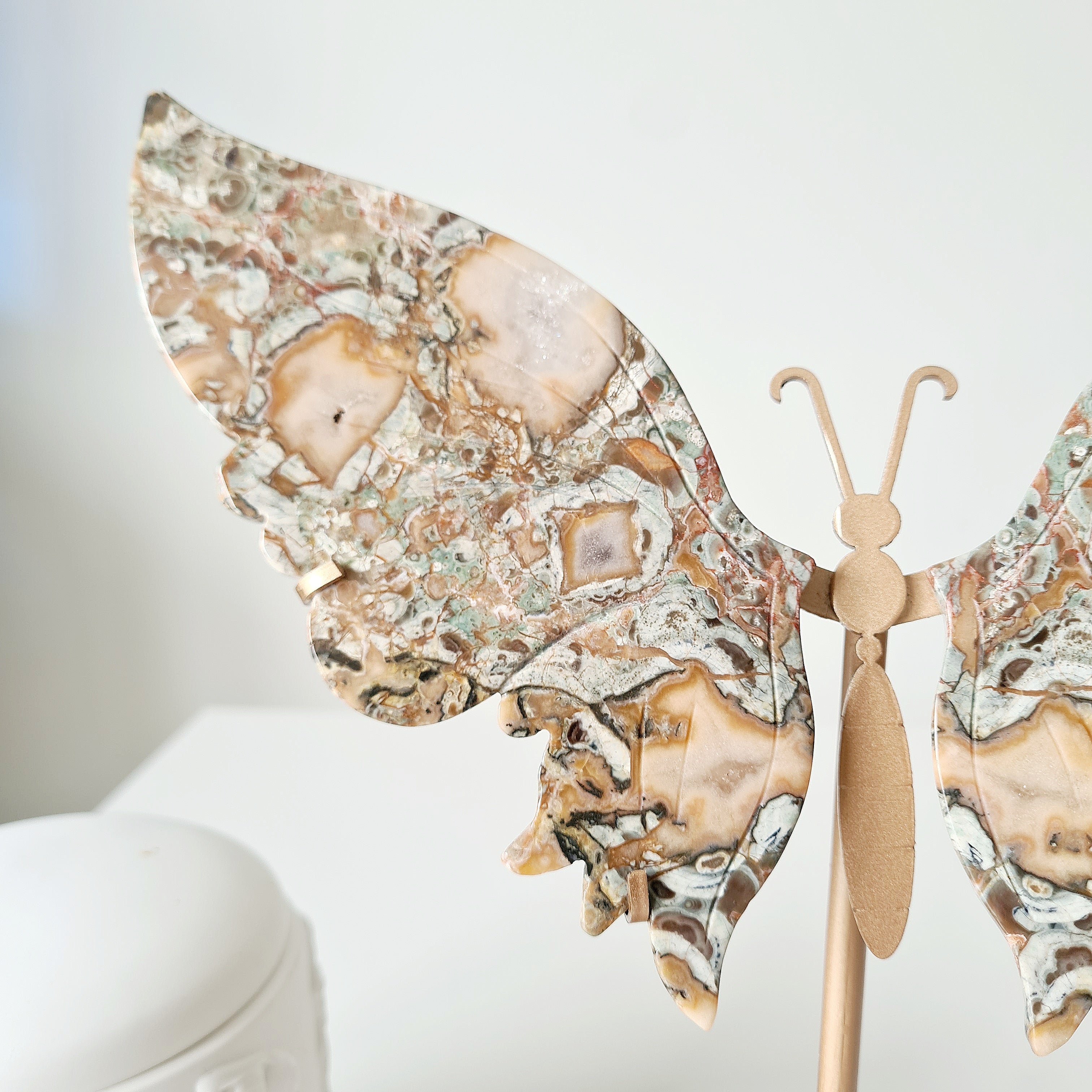 Money Agate Butterfly 🦋 | 25 cm tall with stand