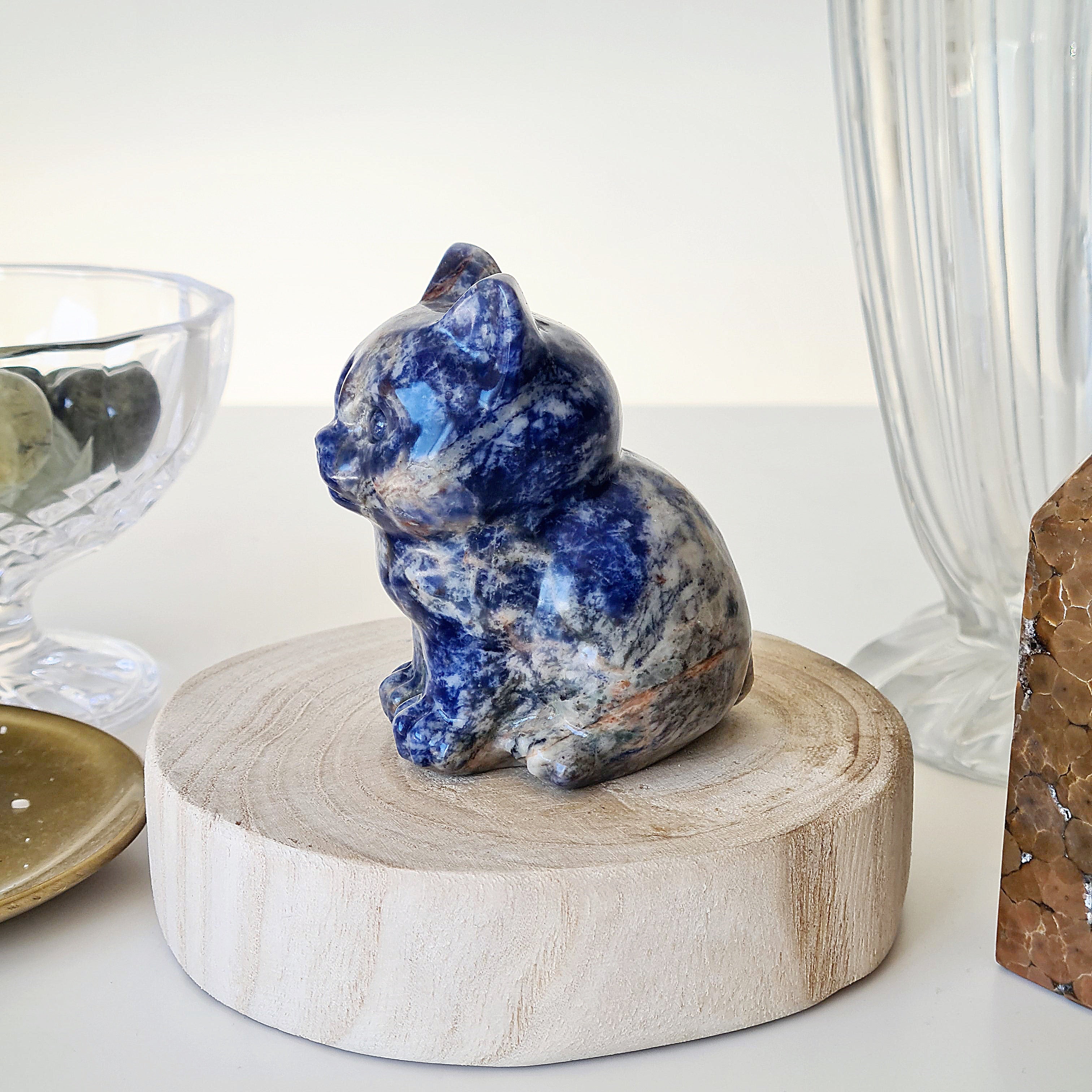 π Sodalite Cat | Strength & Power | 280 g