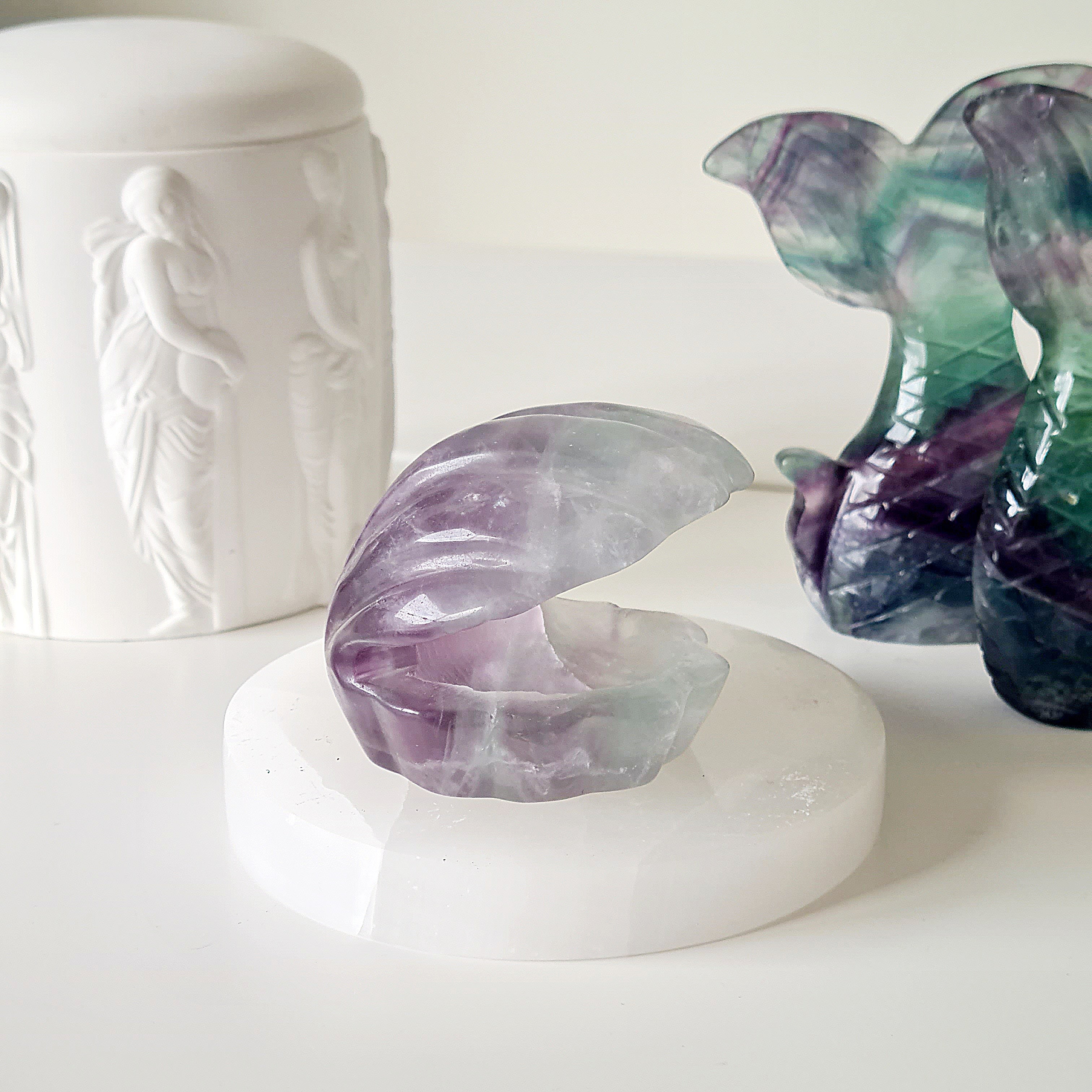 Mermaids Treasure Shell π | 8 | 7 cm