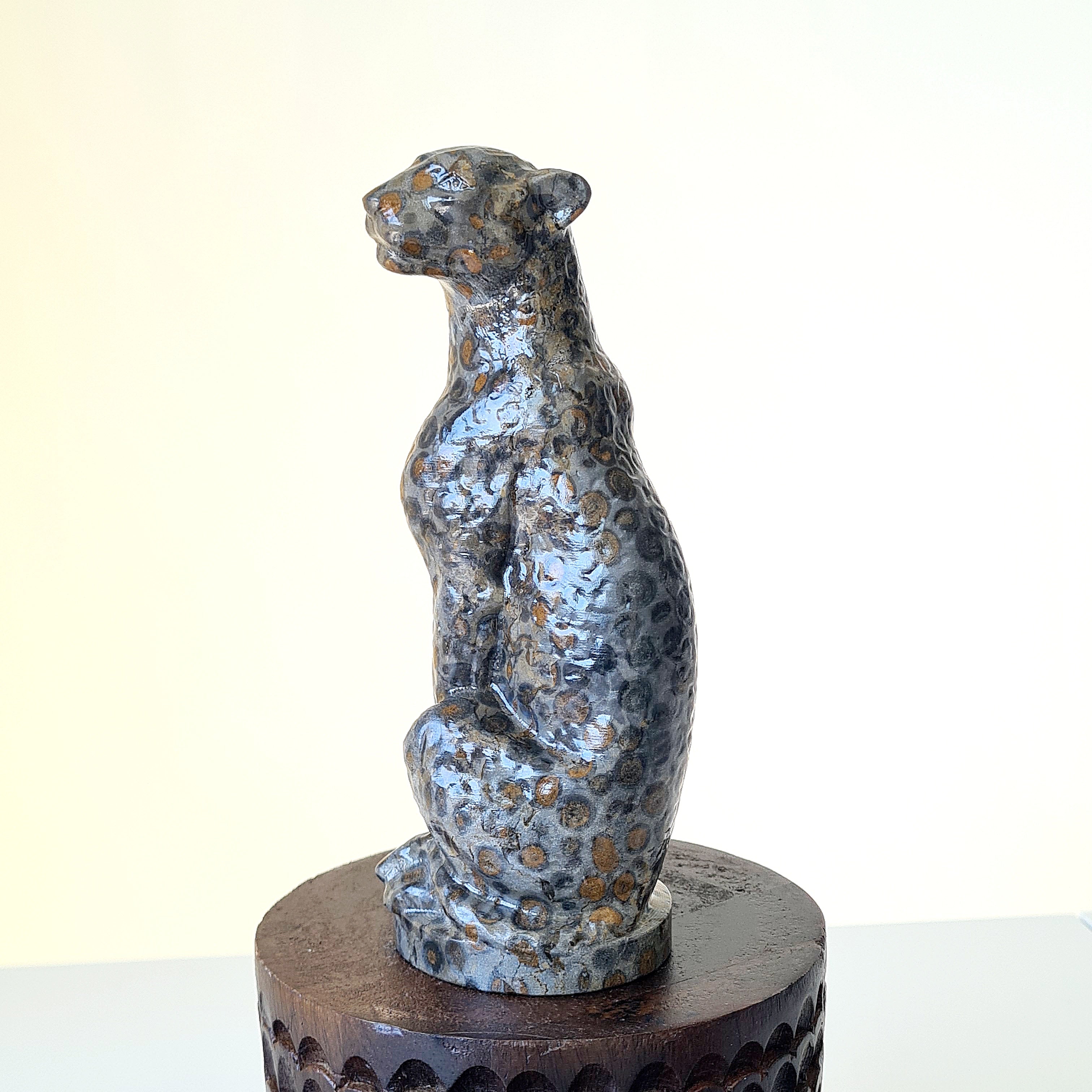 Jasper Leopard 🐆 | Earth Energy | 503 g | Appx 15 cm tall