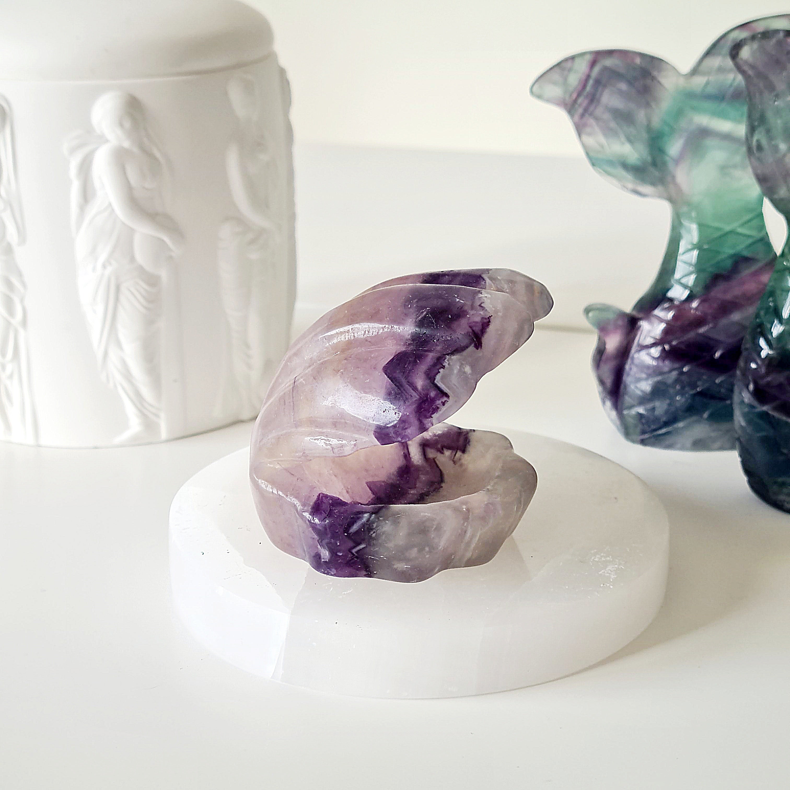 Mermaids Treasure Shell π | 7 | 6.5 cm