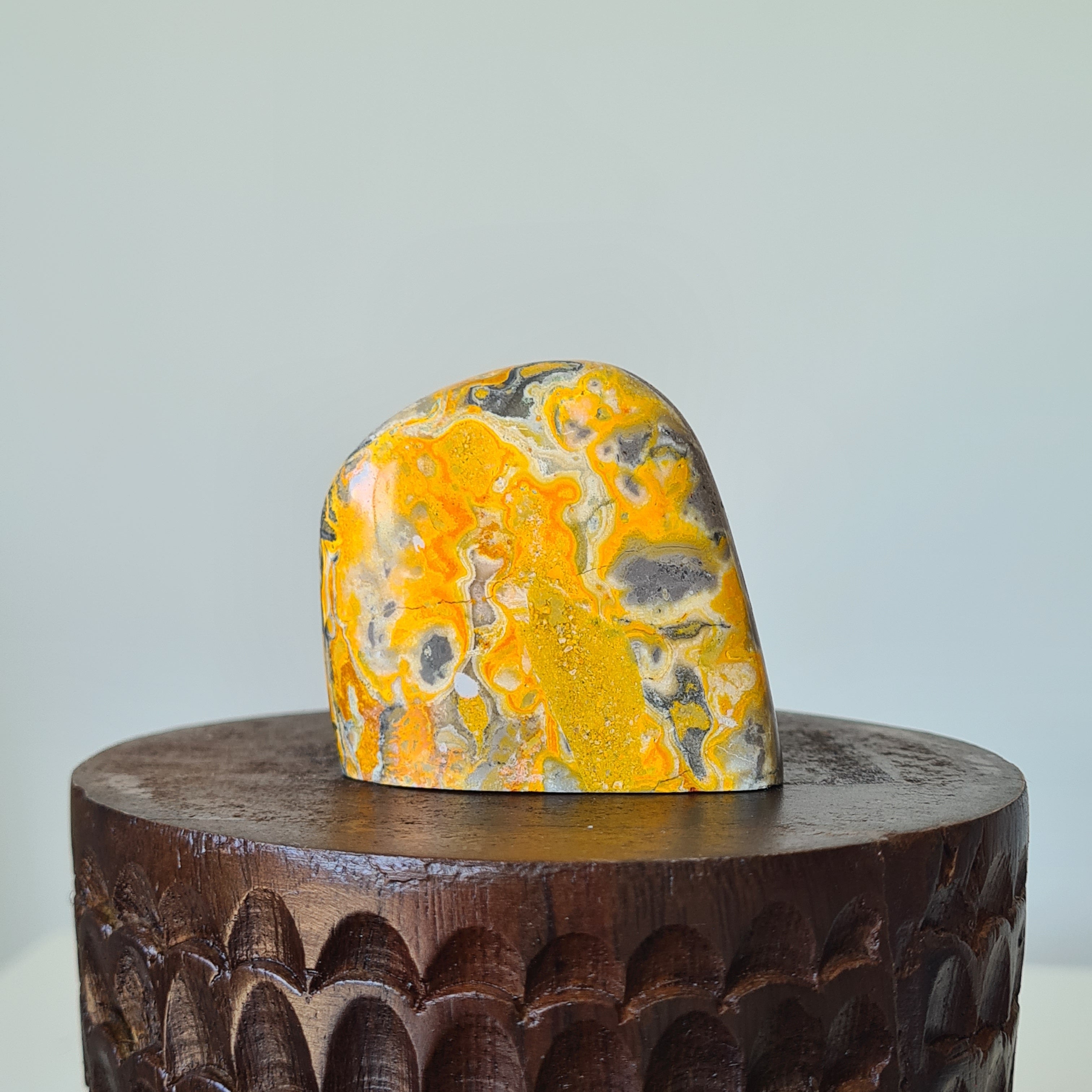 Hallowβs Glow β Bumblebee Jasper Freeform πβ¨| A