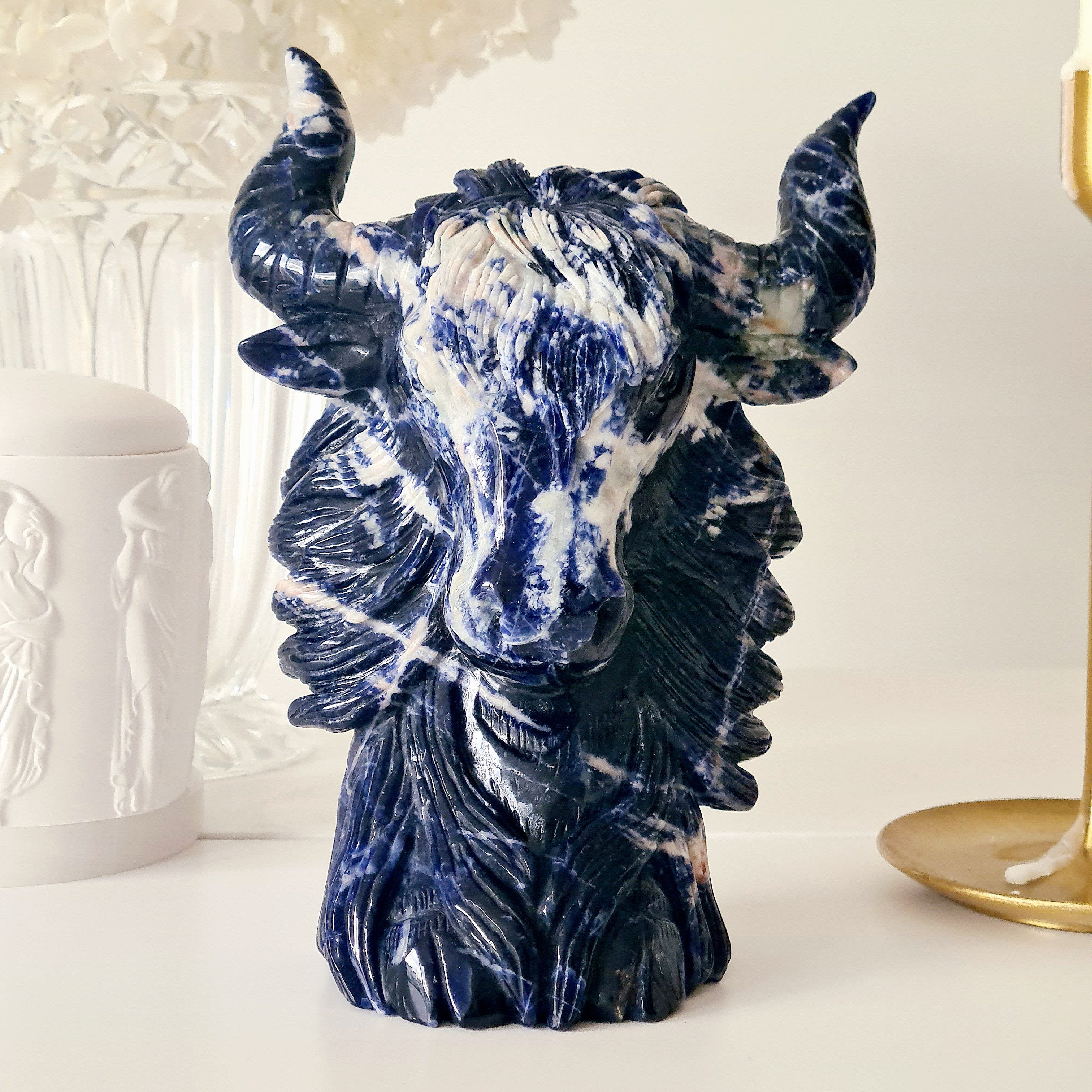 𦬠Sodalite Bison | Strength & Power | 1.6 kg