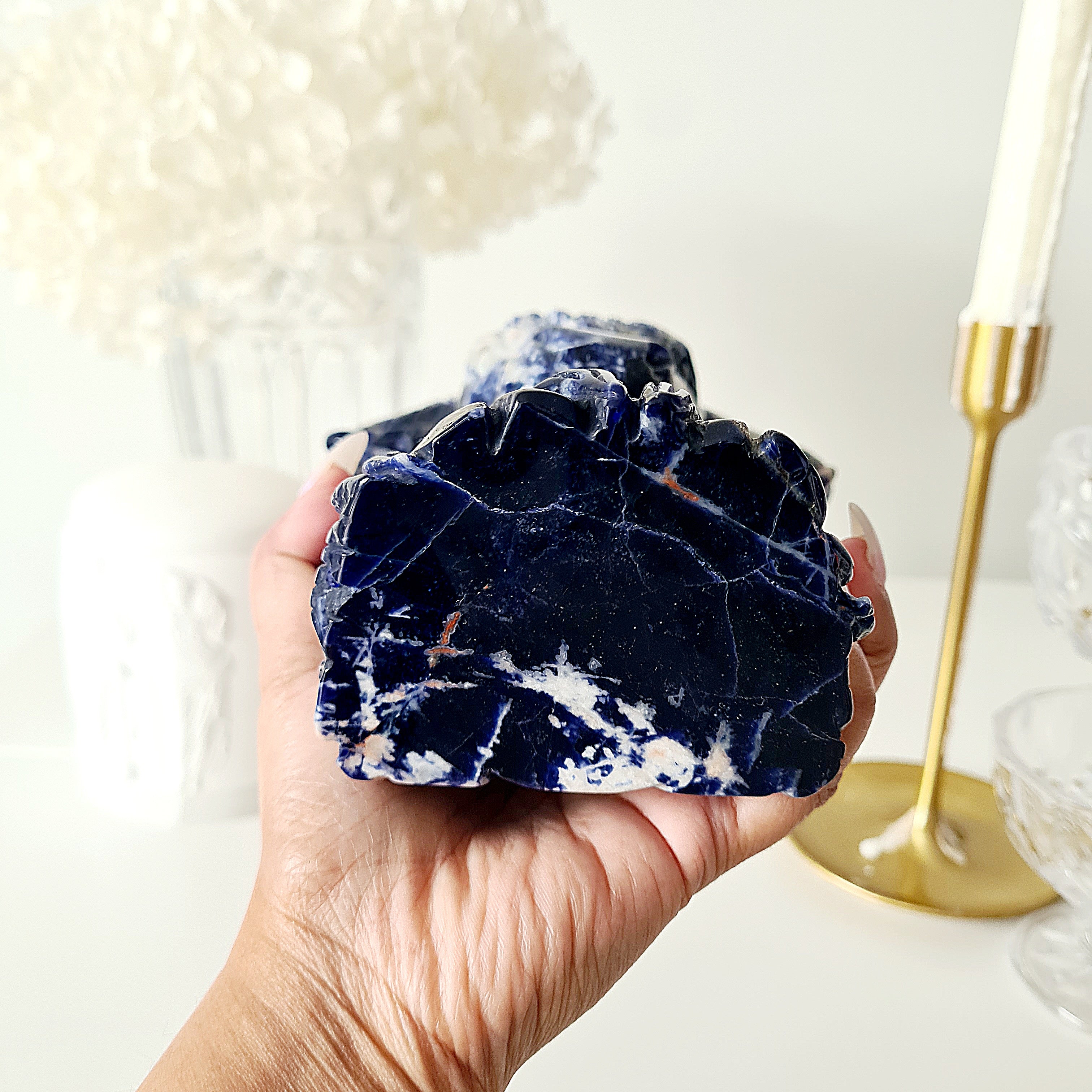 𦬠Sodalite Bison | Strength & Power | 1.6 kg