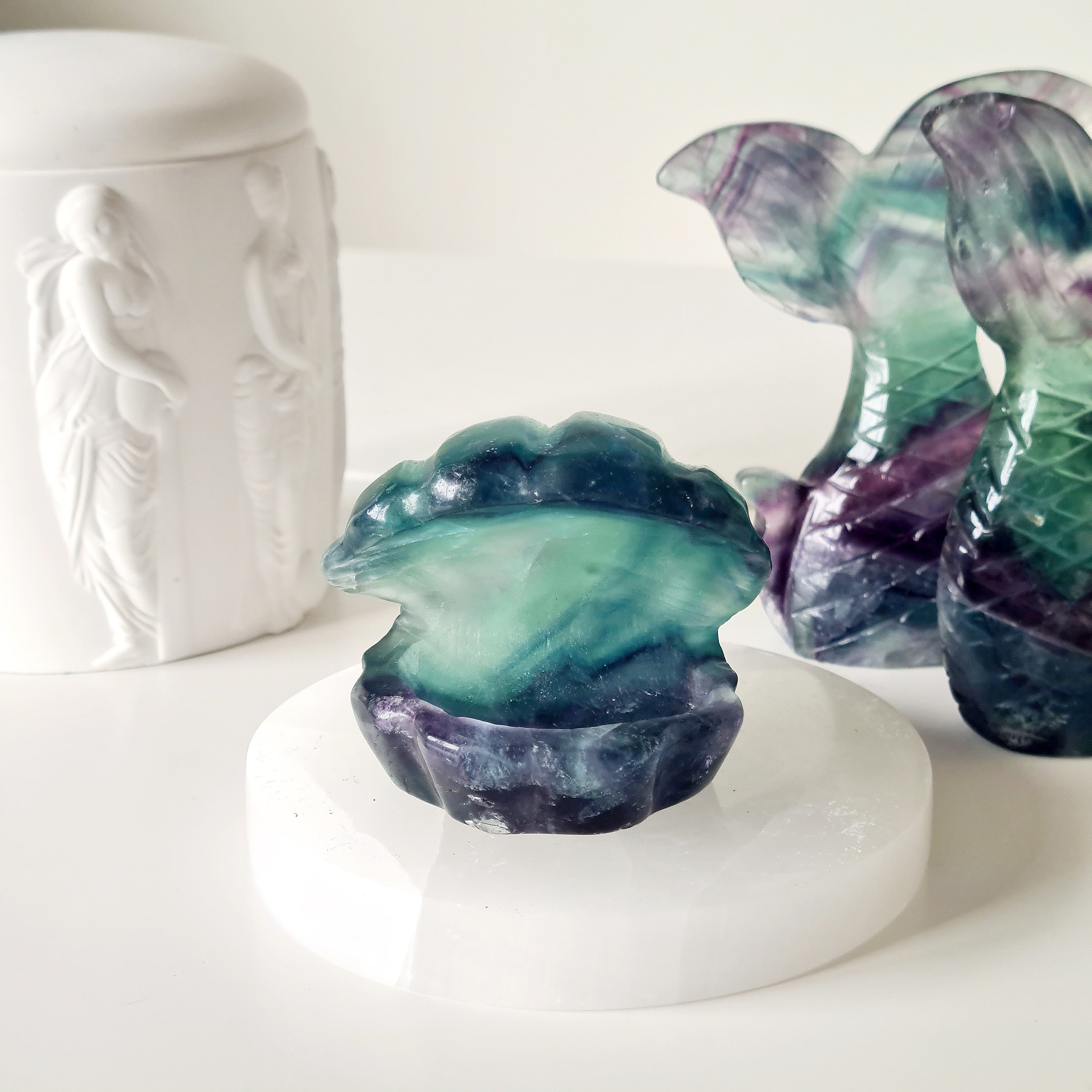 Mermaids Treasure Shell π | 2 | 6.5 cm