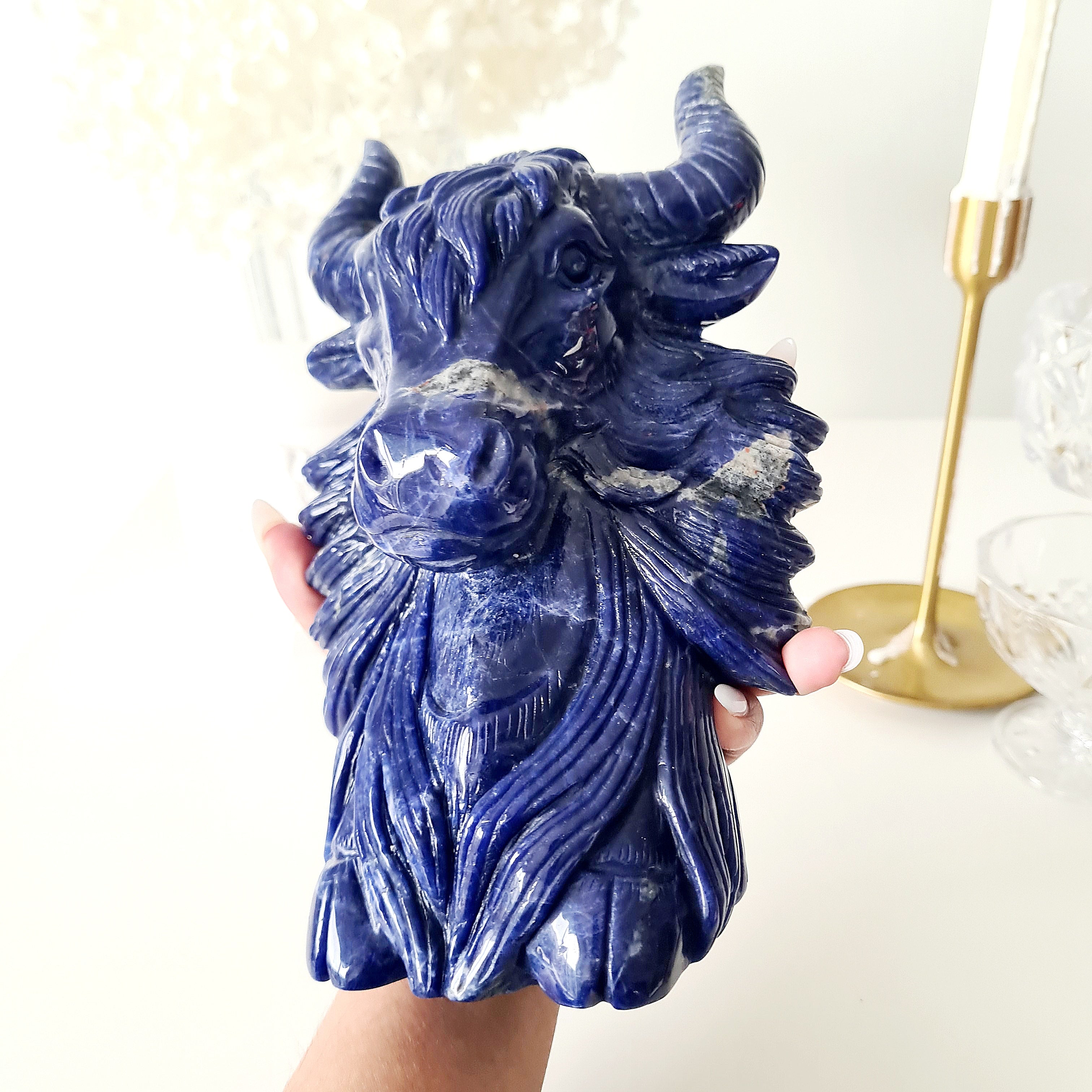 𦬠Sodalite Bison | Strength & Power | 1.9 kg