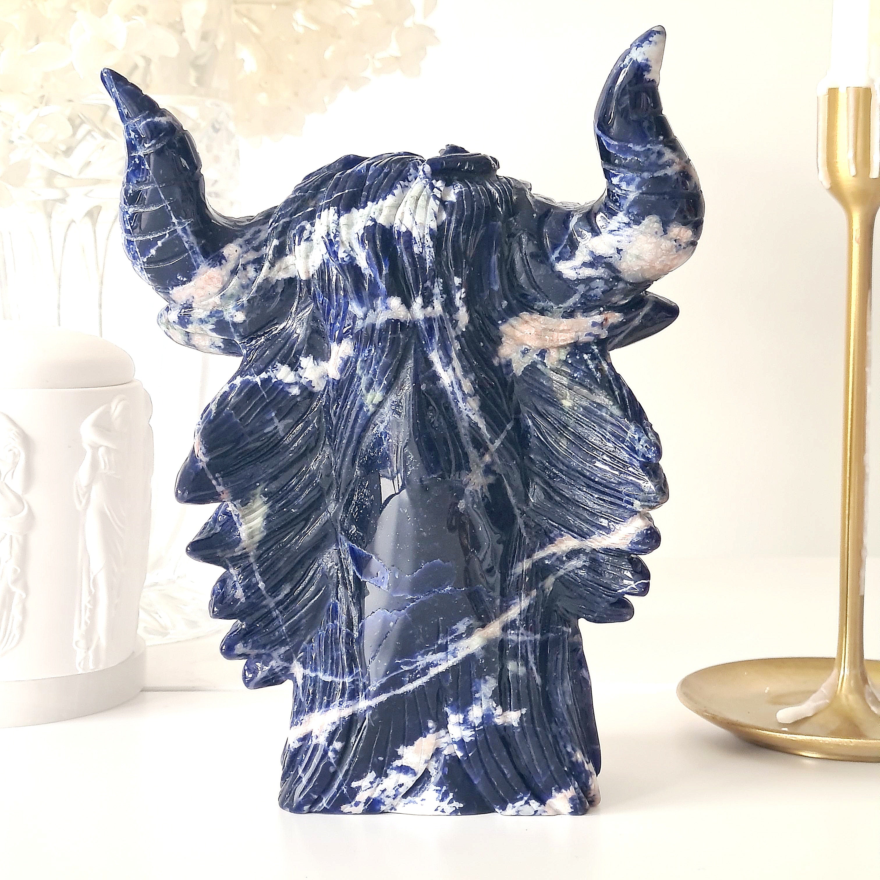 𦬠Sodalite Bison | Strength & Power | 1.6 kg