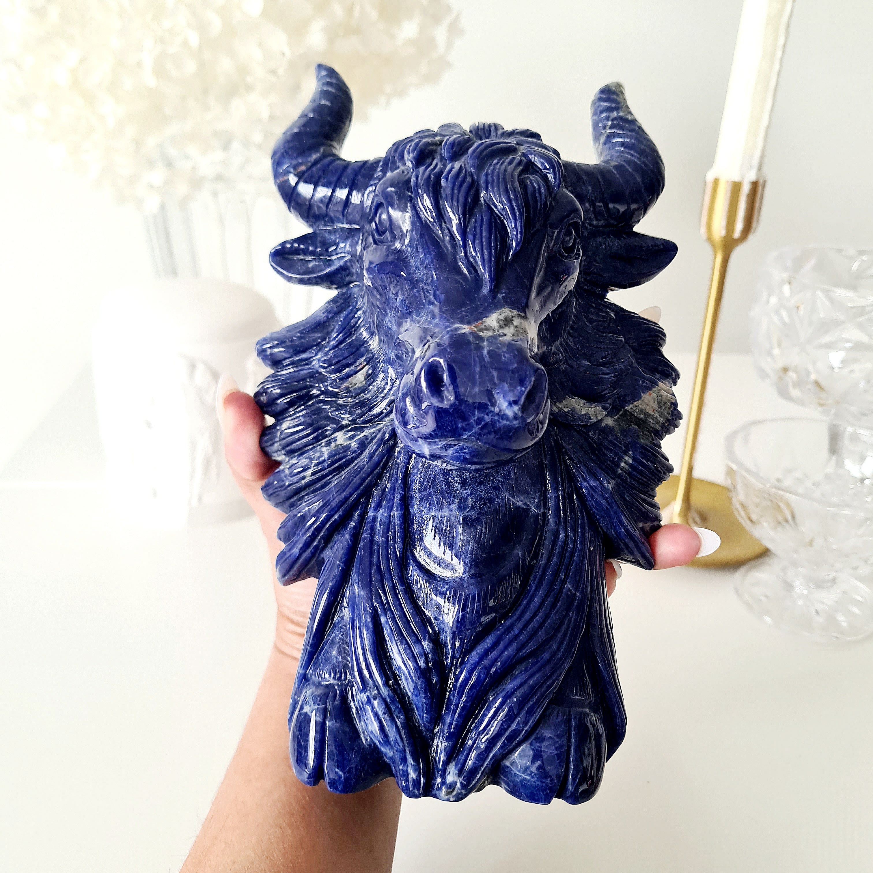 𦬠Sodalite Bison | Strength & Power | 1.9 kg