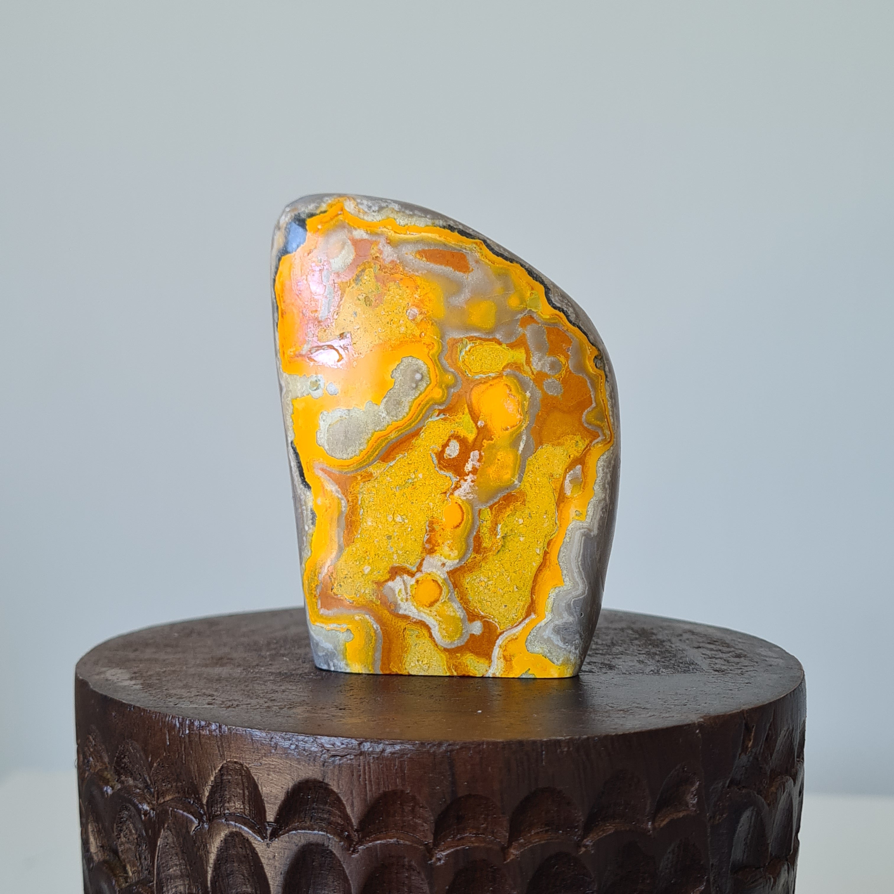 Hallow’s Glow — Bumblebee Jasper Freeform 🎃✨| B