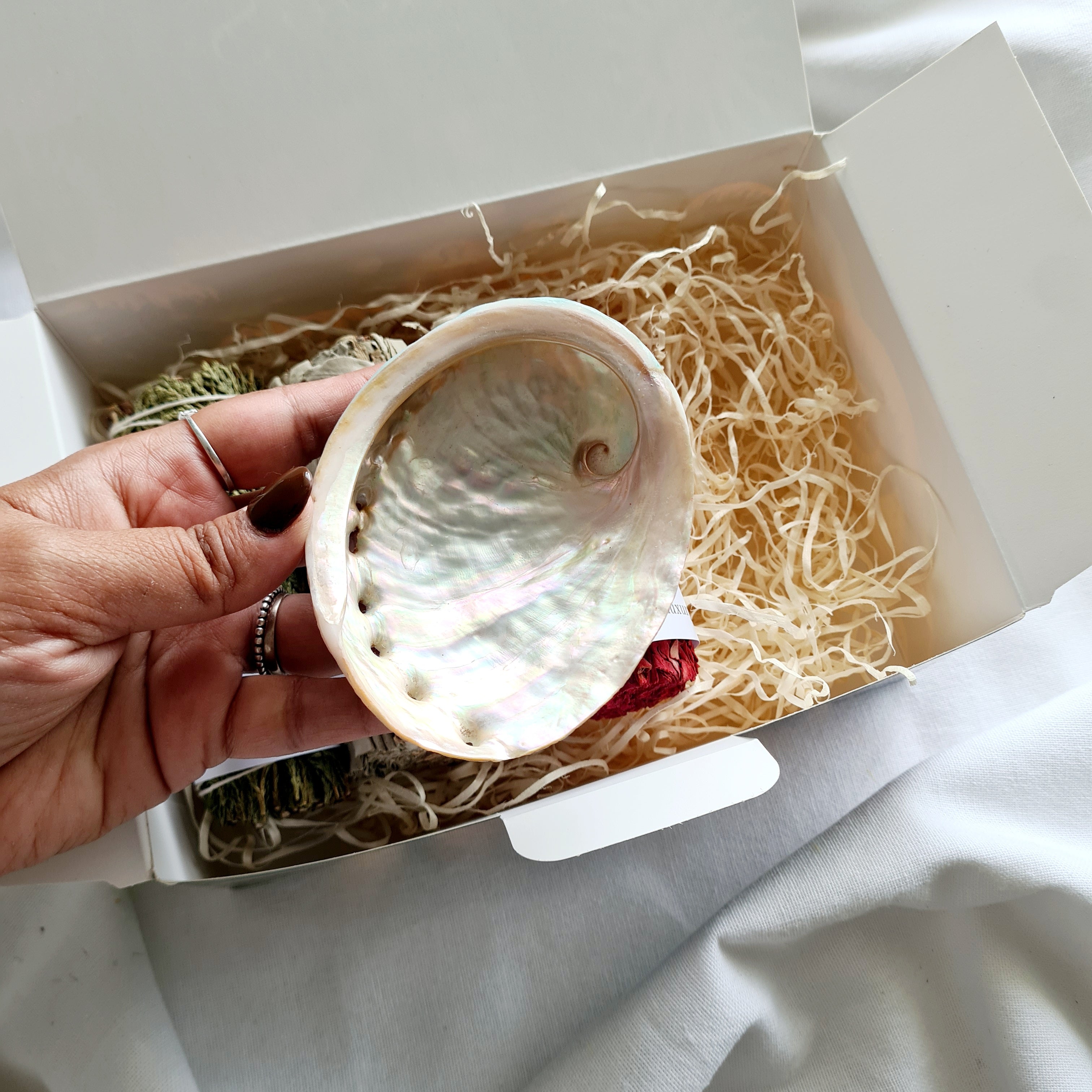 Spiritual Smudging Bundle with Abalone Shell, Sage, Cedar & Dragon’s Blood Smudge Stick