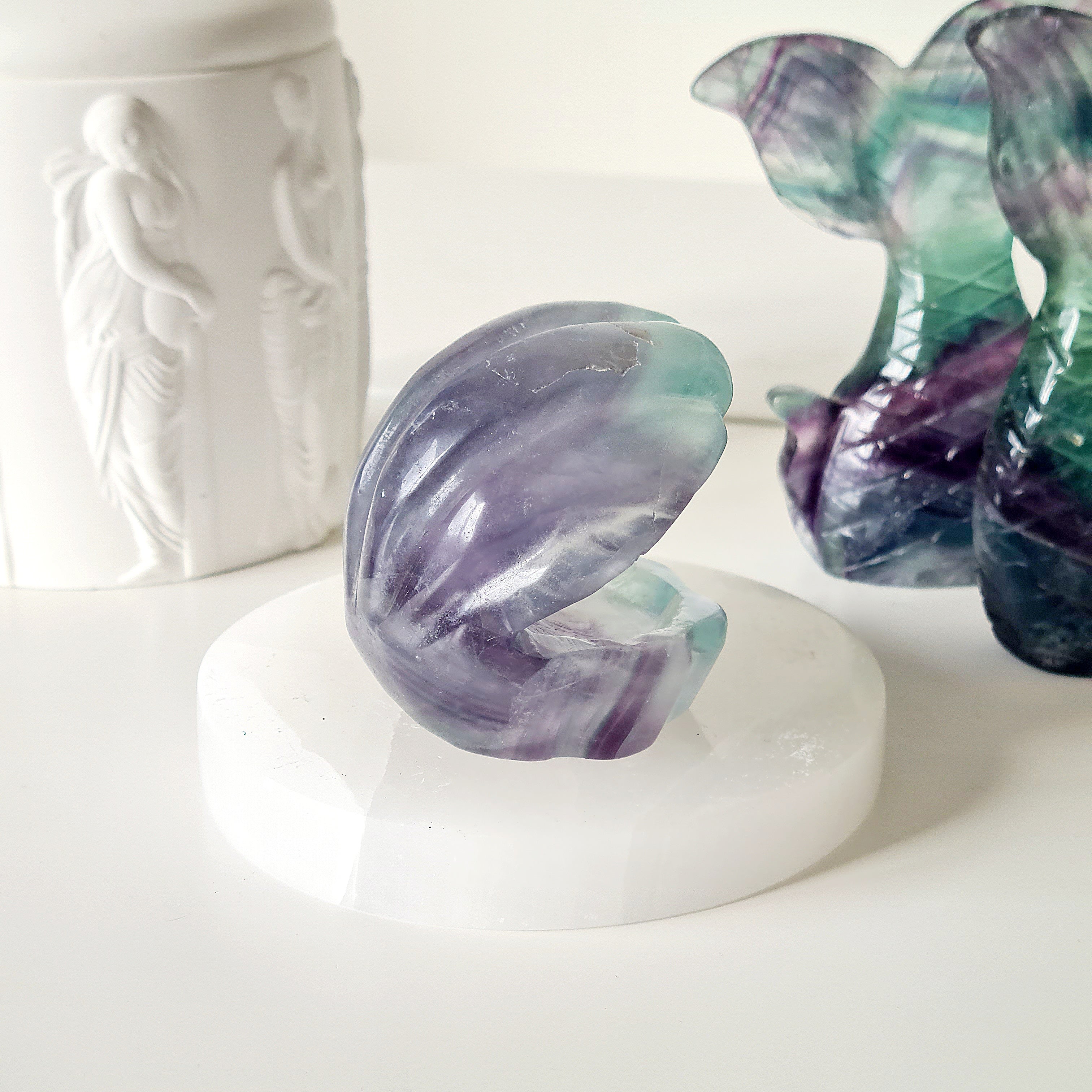 Mermaids Treasure Shell π | 4 | 6.5 cm